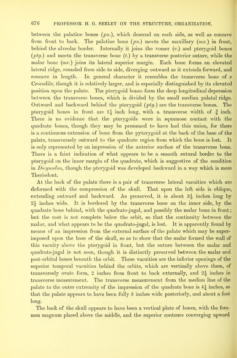 between the palatine bones (pn.), which descend on each side, as well as concave from front to back. The palatine bone (pn.) meets the maxillary (mx.) in front, behind the alveolar border. Internally it joins the vomer (v.) and pterygoid bones (pty.) and meets the transverse bone (t.) by a transverse posterior suture, while the malar bone (mr.) joins its lateral superior margin. Each bone forms an elevated lateral ridge, rounded from side to side, diverging outward as it extends forward, and concave in length. In general character it resembles the transverse bone of a Crocodile, though it is relatively larger, and is especially distinguished by its elevated position upon the palate. The pterygoid bones form the deep longitudinal depression between the transverse bones, which is divided by the small median palatal ridge. Outward and backward behind the pterygoid (pty.) are the transverse bones. The pterygoid bones in front are 1^ inch long, with a transverse width of f inch. There is no evidence that the pterygoids were in squamose contact with the quadrate bones, though they may be presumed to have had this union, for there is a continuous extension of bone from the pyterygoid at the back of the base of the palate, transversely outward to the quadrate region from which the bone is lost. It is only represented by an impression of the anterior surface of the transverse bone. There is a faint indication of what appears to be a smooth sutural border to the pterygoid on the inner margin of the quadrate, which is suggestive of the condition in Dieynodon, though the pterygoid was developed backward in a way which is more Theriodont. At the back of the palate there is a pair of transverse lateral vacuities which are deformed with the compression of the skull. That upon the left side is oblique, extending outward and backward. As preserved, it is about 3^ inches long by 2|- inches wide. It is bordered by the transverse bone on the inner side, by the quadrate bone behind, with the quadrato-jugal, and possibly the malar bone in front; but the cast is not complete below the orbit, so that the continuity between the malar, and what appears to be the quadrato-jugal, is lost. It is apparently found by means of an impression from the external surface of the palate which may be super- imposed upon the base of the skull, so as to show that the malar formed the wall of this vacuity above the pterygoid in front, but the suture between the malar and quadrato-jugal is not seen, though it is distinctly preserved between the malar arid post-orbital bones beneath the orbit. These vacuities are the inferior openings of the superior temporal vacuities behind the orbits, which are vertically above them, of transversely ovate form, 2 inches from front to back externally, and 2^ inches in transverse measurement. The transverse measurement from the median line of the palate to the outer extremity of the impression of the quadrate bone is 4^ inches, so that the palate appears to have been fully 8 inches wide posteriorly, and about a foot long. The back of the skull appears to have been a vertical plate of bones, with the fora- men magnum placed above the middle, and the superior contours converging upward