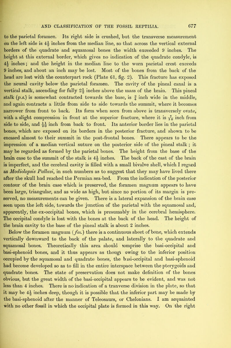 to the parietal foramen. Its right side is crushed, but the transverse measurement ou the left side is inches from the median line, so that across the vertical external borders of the quadrate and squamosal bones the width exceeded 9 inches. The height at this external border, which gives no indication of the quadrate condyle, is 4| inches; and the height in the median line to the worn parietal crest exceeds 9 inches, and about an inch may be lost. Most of the bones from the back of the head are lost with the counterpart rock (Plate 61, fig. 2). This fracture has exposed the neural cavity below the parietal foramen. The cavity of the pineal canal is a vertical stalk, ascending for fully 2^ inches above the mass of the brain. This pineal stalk (p.s.) is somewhat contracted towards the base, is f inch wide in the middle, and again contracts a little from side to side towards the summit, where it becomes narrower from front to back. Its form when seen from above is transversely ovate, with a slight compression in front at the superior fracture, where it is T70- inch from side to side, and inch from back to front. Its anterior border lies in the parietal bones, which are exposed on its borders in the posterior fracture, and shown to be encased almost to their summit in the post-frontal bones. There appears to be the impression of a median vertical suture on the posterior side of the pineal stalk ; it may be regarded as formed by the parietal bones. The height from the base of the brain case to the summit of the stalk is 4-| inches. The back of the cast of the brain is imperfect, and the cerebral cavity is filled with a small bivalve shell, which I regard as Modiolopsis Pallasi, in such numbers as to suggest that they may have lived there after the skull had reached the Permian sea-bed. From the indication of the posterior contour of the brain case which is preserved, the foramen magnum appears to have been large, triangular, and as wide as high, but since no portion of its margin is pre- served, no measurements can be given. There is a lateral expansion of the brain case seen upon the left side, towards the junction of the parietal with the squamosal and, apparently, the ex-occipital bones, which is presumably in the cerebral hemisphere. The occipital condyle is lost with the bones at the back of the head. The height of the brain cavity to the base of the pineal stalk is about 2 inches. Below the foramen magnum (f>n.) there is a continuous sheet of bone, which extends vertically downward to the back of the palate, and laterally to the quadrate and squamosal bones. Theoretically this area should lomprise the basi-occipital and basi-sphenoid bones, and it thus appears as thougi owing to the inferior position occupied by the squamosal and quadrate bones, the bisi-occipital and basi-sphenoid had become developed so as to fill in the entire interspace betwnen the pterygoids and quadrate bones. The state of preservation does not make definition of the bones obvious, but the great width of the basi-occipital appears to be evident, and was not less than 4 inches. There is no indication of a tranverse division in the plate, so that it may be 4^ inches deep, though it is possible that the inferior part may be made by the basi-sphenoid after the manner of Teleosaurs, or Chelonians. I am acquainted with no other fossil in which the occipital plate is formed in this way. On the right