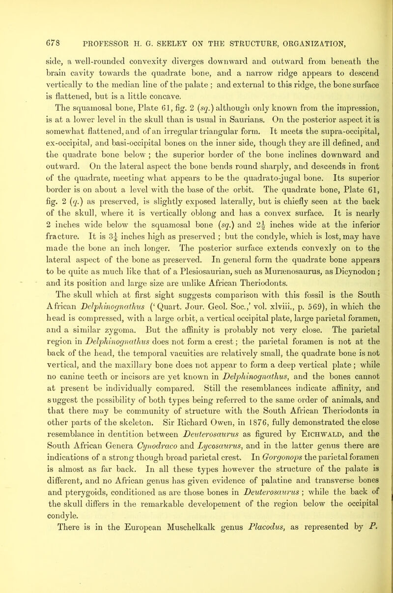 side, a well-rounded convexity diverges downward and outward from beneath the brain cavity towards the quadrate bone, and a narrow ridge appears to descend vertically to the median line of the palate ; and external to this ridge, the bone surface is flattened, but is a little concave. The squamosal bone, Plate 61, fig. 2 (sq.) although only known from the impression, is at a lower level in the skull than is usual in Saurians. On the posterior aspect it is somewhat flattened, and of an irregular triangular form. It meets the supra-occipital, ex-occipital, and basi-occipital bones on the inner side, though they are ill defined, and the quadrate bone below ; the superior border of the bone inclines downward and outward. On the lateral aspect the bone bends round sharply, and descends in front of the quadrate, meeting what appears to be the quadrato-jugal bone. Its superior border is on about a level with the base of the orbit. The quadrate bone, Plate 61, fig. 2 (q.) as preserved, is slightly exposed laterally, but is chiefly seen at the back of the skull, where it is vertically oblong and has a convex surface. It is nearly 2 inches wide below the squamosal bone (sq.) and 2^ inches wide at the inferior fracture. It is 3^ inches high as preserved ; but the condyle, which is lost, may have made the bone an inch longer. The posterior surface extends convexly on to the lateral aspect of the bone as preserved. In general form the quadrate bone appears to be quite as much like that of a Plesiosaurian, such as Mursenosaurus, as Dicynodon; and its position and large size are unlike African Theriodonts. The skull which at first sight suggests comparison with this fossil is the South African Delphinognathus (‘Quart. Jour. Geol. Soc.,’ vol. xlviii., p. 569), in which the head is compressed, with a large orbit, a vertical occipital plate, large parietal foramen, and a similar zygoma. But the affinity is probably not very close. The parietal region in Delphinognathus does not form a crest; the parietal foramen is not at the back of the head, the temporal vacuities are relatively small, the quadrate bone is not vertical, and the maxillary bone does not appear to form a deep vertical plate; while no canine teeth or incisors are yet known in Delphinognathus, and the bones cannot at present be individually compared. Still the resemblances indicate affinity, and s uggest the possibility of both types being referred to the same order of animals, and that there may be community of structure with the South African Theriodonts in other parts of the skeleton. Sir Richard Owen, in 1876, fully demonstrated the close resemblance in dentition between Deuterosaurus as figured by Eichwald, and the South African Genera Cynodraco and Lycosaurus, and in the latter genus there are indications of a strong though broad parietal crest. In Gorgonops the parietal foramen is almost as far back. In all these types however the structure of the palate is different, and no African genus has given evidence of palatine and transverse bones and pterygoids, conditioned as are those bones in Deuterosaurus ; while the back of the skull differs in the remarkable developement of the region below the occipital condyle. There is in the European Muschelkalk genus Placodus, as represented by P.