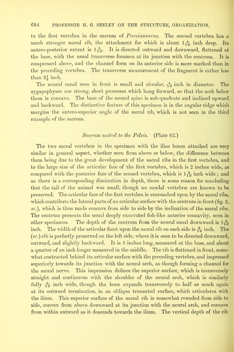 to the first vertebra in the sacrum of Pareiasaurus. The second vertebra has a much stronger sacral rib, the attachment for which is about incb deep. Its antero-posterior extent is l-xa0-. It is directed outward and downward, flattened at the base, with the usual transverse foramen at its junction with the centrum. It is compressed above, and the channel form on its anterior side is more marked than in the preceding vertebra. The transverse measurement of the fragment is rather less than 3^ inch. The neural canal seen in front is small and circular, inch in diameter. The zygapophyses are strong, short processes which hang forward, so that the arch below them is concave. The base of the neural spine is sub-quadrate and inclined upward and backward. The distinctive feature of this specimen is in the angular ridge which margins the antero-superior angle of the sacral rib, which is not seen in the third example of the sacrum. Sacrum united to the Pelvis. (Plate 62.) The two sacral vertebrae in the specimen with the iliac bones attached are very- similar in general aspect, whether seen from above or below, the difference between them being due to the great development of the sacral ribs in the first vertebra, and to the large size of the articular face of the first vertebra, which is 2 inches wide, as compared with the posterior face of the second vertebra, which is 1-^- inch wide ; and as there is a corresponding diminution in depth, there is some reason for concluding that the tail of the animal was small, though no caudal vertebrse are known to be preserved. The articular face of the first vertebra is encroached upon by the sacral ribs, which contribute the lateral parts of an articular surface with the centrum in front (fig. 2, sr.), which is thus made concave from side to side by the inclination of the sacral ribs. The centrum presents the usual deeply excavated fish-like anterior concavity, seen in other specimens. The depth of the centrum from the neural canal downward is inch. The width of the articular facet upon the sacral rib on each side is inch. The (sr.) rib is perfectly preserved on the left side, where it is seen to be directed downward, outward, and slightly backward. It is 3 inches long, measured at the base, and about a quarter of an inch longer measured in the middle. The rib is flattened in front, some- what contracted behind its articular surface with the preceding vertebra, and impressed superiorly towards its junction with the neural arch, as though forming a channel for the sacral nerve. This impression defines the superior surface, which is transversely straight and continuous with the shoulder of the neural arch, which is similarly fully -^q inch wide, though the bone expands transversely to half as much again at its outward termination, in an oblique truncated surface, which articulates with the ilium. This superior surface of the sacral rib is somewhat rounded from side to side, convex from above downward at its junction with the neural arch, and concave from within outward as it descends towards the ilium. The vertical depth of the rib