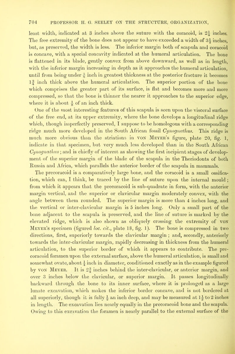 least width, indicated at 3 inches above the suture with the coracoid, is 2^ inches. The free extremity of the bone does not appear to have exceeded a width of 3| inches, but, as preserved, the width is less. The inferior margin both of scapula and coracoid is concave, with a special concavity indicated at the humeral articulation. The bone is flattened in its blade, gently convex from above downward, as well as in length, with the inferior margin increasing in depth as it approaches the humeral articulation, until from being under § inch in greatest thickness at the posterior fracture it becomes If inch thick above the humeral articulation. The superior portion of the bone which comprises the greater part of its surface, is flat and becomes more and more compressed, so that the bone is thinner the nearer it approaches to the superior edge, where it is about ^ of an inch thick. One of the most interesting features of this scapula is seen upon the visceral surface of the free end, at its upper extremity, where the bone develops a longitudinal ridge which, though imperfectly preserved, I suppose to be homologous with a corresponding ridge much more developed in the South African fossil Cynognathus. This ridare is much more obvious than the striations in yon Meyer’s figure, plate 20, fig. 1, indicate in that specimen, but very much less developed than in the South African Cynognathus ; and is chiefly of interest as showing the first incipient stages of develop- ment of the superior margin of the blade of the scapula in the Theriodonts of both Russia and Africa, which parallels the anterior border of the scapula in mammals. The precoracoid is a comparatively large bone, and the coracoid is a small ossifica- tion, which can, I think, be traced by the line of suture upon the internal mould ; from which it appears that the precoracoid is sub-quadrate in form, with the anterior margin vertical, and the superior or clavicular margin moderately convex, with the angle between them rounded. The superior margin is more than 4 inches long, and the vertical or inter-clavicular margin is 5 inches long. Only a small part of the bone adjacent to the scapula is preserved, and the line of suture is marked by the elevated ridge, which is also shown as obliquely crossing the extremity of VON Meyer’s specimen (figured loo. cit., plate 18, fig. 1). The bone is compressed in two directions, first, superiorly towards the clavicular margin ; and, secondly, anteriorly towards the inter-clavicular margin, rapidly decreasing in thickness from the humeral articulation, to the superior border of which it appears to contribute. The pre- coracoid foramen upon the external surface, above the humeral articulation, is small and somewhat ovate, about ^ inch in diameter, conditioned exactly as in the example figured by YON Meyer. It is 2§ inches behind the inter-clavicular, or anterior margin, and over 3 inches below the clavicular, or superior margin. It passes longitudinally backward through the bone to its inner surface, where it is prolonged as a large lunate excavation, which makes the inferior border concave, and is not bordered at all superiorly, though it is fully \ an inch deep, and may be measured at l|-to 2 inches in length. The excavation lies nearly equally in the precoracoid bone and the scapula. Owing to this excavation the foramen is nearly parallel to the external surface of the