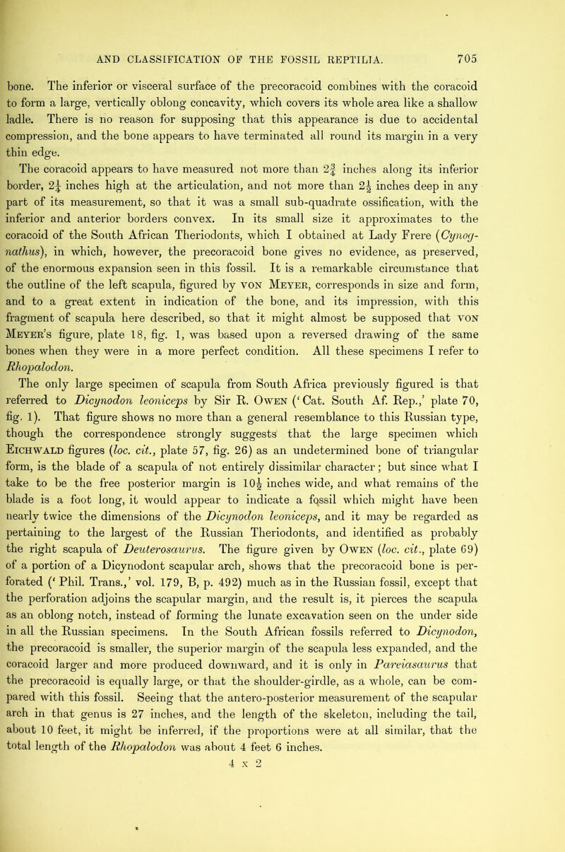 bone. The inferior or visceral surface of the precoracoid combines with the coracoid to form a large, vertically oblong concavity, which covers its whole area like a shallow ladle. There is no reason for supposing that this appearance is due to accidental compression, and the bone appears to have terminated all round its margin in a very thin edge. The coracoid appears to have measured not more than 2f inches along its inferior border, 2\ inches high at the articulation, and not more than 2\ inches deep in any part of its measurement, so that it was a small sub-quadrate ossification, with the inferior and anterior borders convex. In its small size it approximates to the coracoid of the South African Theriodonts, which I obtained at Lady Frere (Cynog- natlius), in which, however, the precoracoid bone gives no evidence, as preserved, of the enormous expansion seen in this fossil. It is a remarkable circumstance that the outline of the left scapula, figured by von Meyer, corresponds in size and form, and to a great extent in indication of the bone, and its impression, with this fragment of scapula here described, so that it might almost be supposed that von Meyer’s figure, plate 18, fig. 1, was based upon a reversed drawing of the same bones when they were in a more perfect condition. All these specimens I refer to Rhopalodon. The only large specimen of scapula from South Africa previously figured is that referred to Dicynodon leoniceps by Sir It. Owen (‘Cat. South Af. Rep.,’ plate 70, fig. 1). That figure shows no more than a general resemblance to this Russian type, though the correspondence strongly suggests that the large specimen which Eichwald figures (loc. cit., plate 57, fig. 26) as an undetermined bone of triangular form, is the blade of a scapula of not entirely dissimilar character; but since what I take to be the free posterior margin is 10^ inches wide, and what remains of the blade is a foot long, it would appear to indicate a fossil which might have been nearly twice the dimensions of the Dicynodon leoniceps, and it may be regarded as pertaining to the largest of the Russian Theriodonts, and identified as probably the right scapula of Deuterosaurus. The figure given by Owen [loc. cit., plate 69) of a portion of a Dicynodont scapular arch, shows that the precoracoid bone is per- forated (‘ Phil. Trans.,’ vol. 179, B, p. 492) much as in the Russian fossil, except that the perforation adjoins the scapular margin, and the result is, it pierces the scapula as an oblong notch, instead of forming the lunate excavation seen on the under side in all the Russian specimens. In the South African fossils referred to Dicynodon, the precoracoid is smaller, the superior margin of the scapula less expanded, and the coracoid larger and more produced downward, and it is only in Pareiasaurus that the precoracoid is equally large, or that the shoulder-girdle, as a whole, can be com- pared with this fossil. Seeing that the antero-posterior measurement of the scapular arch in that genus is 27 inches, and the length of the skeleton, including the tail, about 10 feet, it might be inferred, if the proportions were at all similar, that the