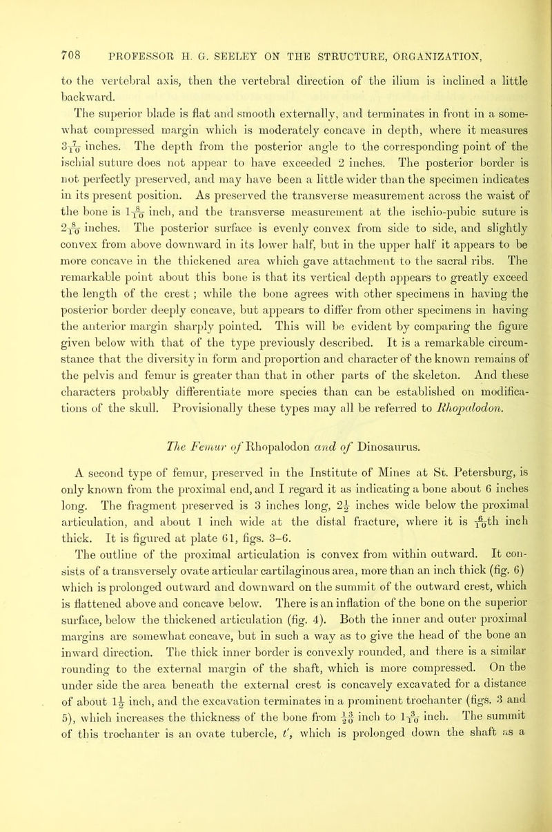to the vertebral axis, then the vertebral direction of the ilium is inclined a little backward. The superior blade is flat and smooth externally, and terminates in front in a some- what compressed margin which is moderately concave in depth, where it measures 3]uj inches. The depth from the posterior angle to the corresponding point of the ischial suture does not appear to have exceeded 2 inches. The posterior border is not perfectly preserved, and may have been a little wider than the specimen indicates in its present position. As preserved the transverse measurement across the w^aist of the bone is inch, and the transverse measurement at the ischio-pubic suture is 2-j^j inches. The posterior surface is evenly convex from side to side, and slightly convex from above downward in its lower half, but in the upper half it appears to be more concave in the thickened area which gave attachment to the sacral ribs. The remarkable point about this bone is that its vertical depth appears to greatly exceed the length of the crest ; while the bone agrees with other specimens in having the posterior border deeply concave, but appears to differ from other specimens in having the anterior margin sharply pointed. This will be evident by comparing the figure given below with that of the type previously described. It is a remarkable circum- stance that the diversity in form and proportion and character of the known remains of the pelvis and femur is greater than that in other parts of the skeleton. And these characters probably differentiate more species than can be established on modifica- tions of the skull. Provisionally these types may all be referred to Rhopalodon. The Femur of Rhopalodon and of Dinosaurus. A second type of femur, preserved in the Institute of Mines at St. Petersburg, is only known from the proximal end, and I regard it as indicating a bone about 6 inches long. The fragment preserved is 3 inches long, 2\ inches wide below the proximal articulation, and about 1 inch wide at the distal fracture, where it is -x%th inch thick. It is figured at plate Gl, figs. 3-6. The outline of the proximal articulation is convex from within outward. It con- sists of a transversely ovate articular cartilaginous area, more than an inch thick (fig. 6) which is prolonged outward and downward on the summit of the outward crest, which is flattened above and concave below. There is an inflation of the bone on the superior surface, below the thickened articulation (fig. 4). Both the inner and out er proximal margins are somewhat concave, but in such a way as to give the head of the bone an inward direction. The thick inner border is convexly rounded, and there is a similar rounding to the external margin of the shaft, which is more compressed. On the under side the area beneath the external crest is concavely excavated for a distance of about llr inch, and the excavation terminates in a prominent trochanter (figs. 3 and 5), which increases the thickness of the bone from Irf inch to 1 inch. The summit of this trochanter is an ovate tubercle, t', which is prolonged down the shaft as a