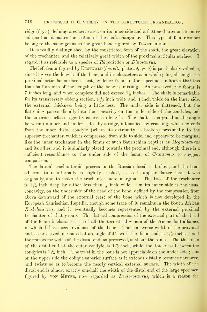 ridge (fig. 3), defining a concave area on its inner side and a flattened area on its outer side, so that it makes the section of the shaft, triangular. This type of femur cannot belong to the same genus as the great bone figured by Trautschold. It is readily distinguished by the constricted form of the shaft, the great elevation of the trochanter, and the relatively great width of the proximal articular surface. I regard it as referable to a species of Rhopaloclon or Dinosaurus. The left femur figured by Eichvvald {Joe. cit., plate 59, fig. 5) is particularly valuable, since it gives the length of the bone, and its characters as a whole ; for, although the proximal articular surface is lost, evidence from another specimen indicates that less than half an inch of the length of the bone is missing. As preserved, the femur is 7 inches long, and when complete did not exceed 7 b inches. The shaft is remarkable for its transversely oblong section, l-^ inch wide and 1 inch thick on the inner side, the external thickness being a little less. The under side is flattened, but the flattening passes distally into the concavity on the under side of the condyles, and the superior surface is gently concave in length. The shaft is margined on the angle between its inner and under sides by a ridge, intensified by crushing, which extends from the inner distal condyle (where its extremity is broken) proximally to the superior trochanter, which is compressed from side to side, and appears to be marginal like the inner trochanter in the femur of such Saurischian reptiles as Megalosaurus and its allies, and it is similarly placed towards the proximal end, although there is a sufficient resemblance to the under side of the femur of Cratceomus to suggest comparison. The lateral trochanteroid process in the Russian fossil is broken, and the bone adjacent to it internally is slightly crushed, so as to appear flatter than it was originally, and to make the trochanter more marginal. The base of the trochanter is lyo inch deep, by rather less than \ inch wide. On its inner side is the usual concavity, on the under side of the head of the bone, defined by the compression from above downward of the external crest of the bone, which is not developed in the European Saurischian Reptilia, though some trace of it remains in the South African Euskelosaurus, and it eventually becomes represented by the external proximal trochanter of that group. This lateral compression of the external part of the head of the femur is characteristic of all the terrestrial genera of the Anomodont alliance, in which I have seen evidence of the bone. The transverse width of the proximal end, as preserved, measured at an angle of 45° with the distal end, is 2-Jq inches; and the transverse width of the distal end, as preserved, is about the same. The thickness of the distal end at the outer condyle is 1-yq inch, while the thickness between the condyles is 1 -2% inch. The twist in the bone is not appreciable on the under side ; but on the upper side the oblique superior surface as it extends distally becomes narrower, and twists so as to become the nearly vertical external surface. The width of the distal end is almost exactly one-lialf the width of the distal end of the large specimen figured by von Meyer, now regarded as Deuterosaurus, which is a reason for