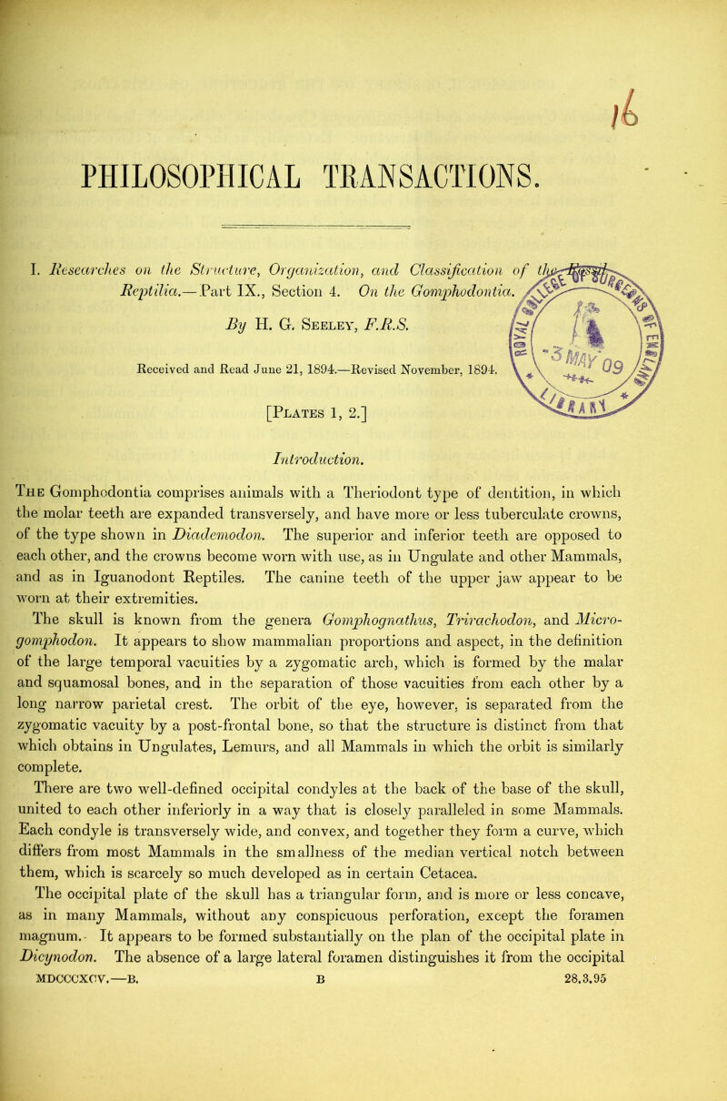 PHILOSOPHICAL TRANSACTIONS. 1. Researches oil the Structure, Organization, and Classification of Reptilia.—.Part IX., Section 4. On the Gomphodontia. By H. G. Seeley, F.R.S. Received and Read June 21, 1894.—Revised November, 1894. [Plates 1, 2.] Introduction. The Gomphodontia comprises animals with a Theriodont type of dentition, in which the molar teeth are expanded transversely, and have more or less tuberculate crowns, of the type shown in Diademodon. The superior and inferior teeth are opposed to each other, and the crowns become worn with use, as in Ungulate and other Mammals, and as in Iguanodont Reptiles. The canine teeth of the upper jaw appear to be worn at their extremities. The skull is known from the genera Gomphognathus, Trirachodon, and Micro- gomphodon. It appears to show mammalian proportions and aspect, in the definition of the large temporal vacuities by a zygomatic arch, which is formed by the malar and squamosal bones, and in the separation of those vacuities from each other by a long narrow parietal crest. The orbit of the eye, however, is separated from the zygomatic vacuity by a post-frontal bone, so that the structure is distinct from that which obtains in Ungulates, Lemurs, and all Mammals in which the orbit is similarly complete. There are two well-defined occipital condyles at the back of the base of the skull, united to each other inferiorly in a way that is closely paralleled in some Mammals. Each condyle is transversely wide, and convex, and together they form a curve, which differs from most Mammals in the smallness of the median vertical notch between them, which is scarcely so much developed as in certain Cetacea. The occipital plate of the skull has a triangular form, and is more or less concave, as in many Mammals, without any conspicuous perforation, except the foramen magnum.- It appears to be formed substantially on the plan of the occipital plate in Dicynodon. The absence of a large lateral foramen distinguishes it from the occipital MDCCCXOV.—B. B 28.3.95