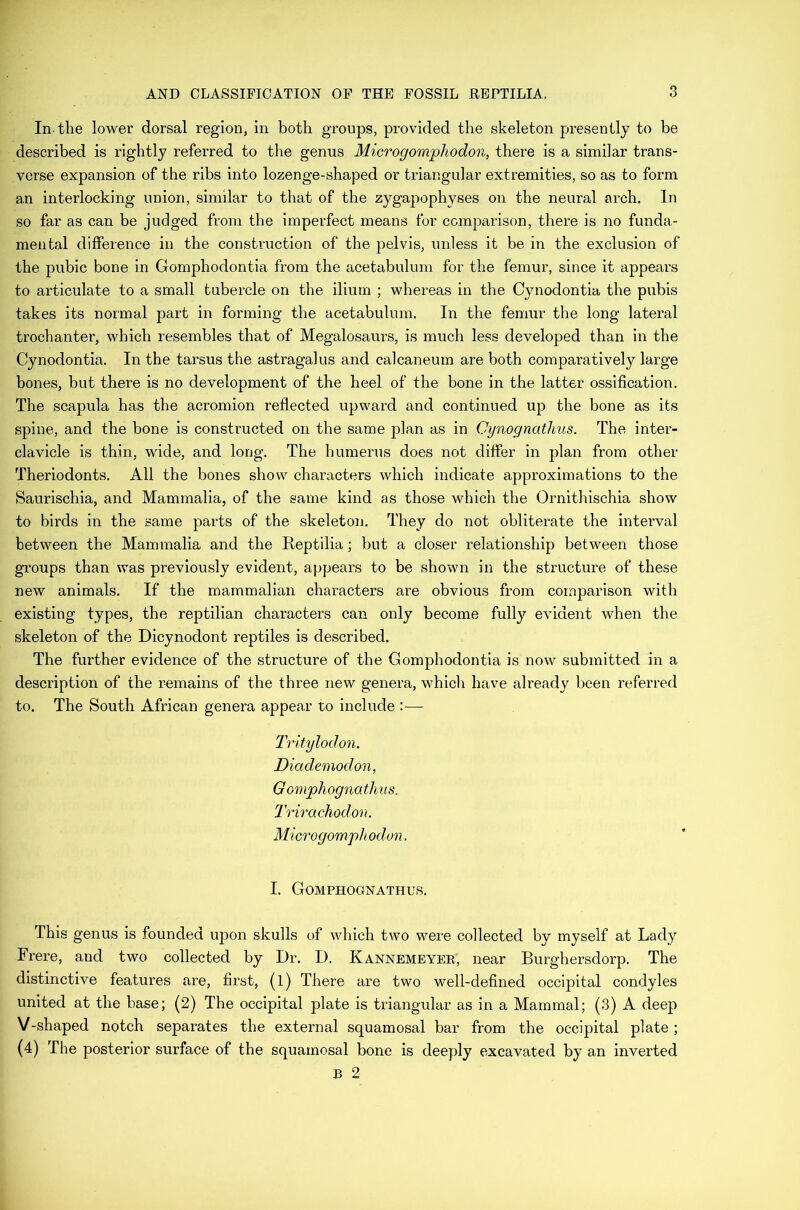 In-the lower dorsal region, in both groups, provided the skeleton presently to be described is rightly referred to the genus Microgomphodon, there is a similar trans- verse expansion of the ribs into lozenge-shaped or triangular extremities, so as to form an interlocking union, similar to that of the zygapophyses on the neural arch. In so far as can be judged from the imperfect means for comparison, there is no funda- mental difference in the construction of the pelvis, unless it be in the exclusion of the pubic bone in Gomphodontia from the acetabulum for the femur, since it appears to articulate to a small tubercle on the ilium ; whereas in the Cynodontia the pubis takes its normal part in forming the acetabulum. In the femur the long lateral trochanter, which resembles that of Megalosaurs, is much less developed than in the Cynodontia. In the tarsus the astragalus and calcaneum are both comparatively large bones, but there is no development of the heel of the bone in the latter ossification. The scapula has the acromion reflected upward and continued up the bone as its spine, and the bone is constructed on the same plan as in Cynognathus. The inter- clavicle is thin, wide, and long. The humerus does not differ in plan from other Theriodonts. All the bones show characters which indicate approximations to the Saurischia, and Mammalia, of the same kind as those which the Ornithischia show to birds in the same parts of the skeleton. They do not obliterate the interval between the Mammalia and the Reptilia; but a closer relationship between those groups than was previously evident, appears to be shown in the structure of these new animals. If the mammalian characters are obvious from comparison with existing types, the reptilian characters can only become fully evident when the skeleton of the Dicynoclont reptiles is described. The further evidence of the structure of the Gomphodontia is now submitted in a description of the remains of the three new genera, which have already been referred to. The South African genera appear to include Tritylodon. Diademodon, Gomphognathus. Trirachodon. Microgomph odon. I. Gomphognathus. This genus is founded upon skulls of which two were collected by myself at Lady Frere, and two collected by Dr. D. Kannemeyer, near Burghersdorp. The distinctive features are, first, (l) There are two well-defined occipital condyles united at the base; (2) The occipital plate is triangular as in a Mammal; (3) A deep V-shaped notch separates the external squamosal bar from the occipital plate ; (4) The posterior surface of the squamosal bone is deeply excavated by an inverted B 2