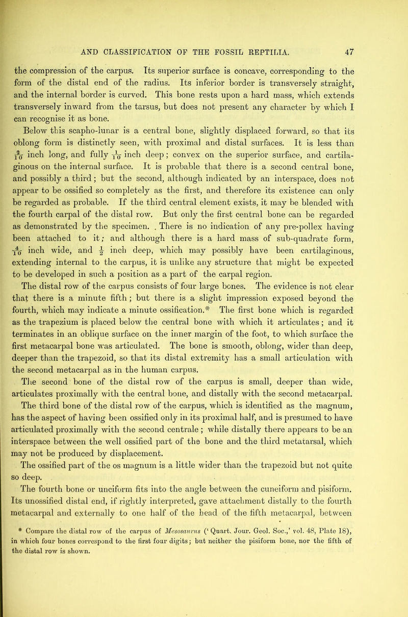 the compression of the carpus. Its superior surface is concave, corresponding to the form of the distal end of the radius. Its inferior border is transversely straight, and the internal border is curved. This bone rests upon a hard mass, which extends transversely inward from the tarsus, but does not present any character by which I can recognise it as bone. Below this scapho-iunar is a central bone, slightly displaced forward, so that its oblong form is distinctly seen, with proximal and distal surfaces. It is less than inch long, and fully yg- inch deep; convex on the superior surface, and cartila- ginous on the internal surface. It is probable that there is a second central bone, and possibly a third; but the second, although indicated by an interspace, does not appear to be ossified so completely as the first, and therefore its existence can only be regarded as probable. If the third central element exists, it may be blended with the fourth carpal of the distal row. But only the first central bone can be regarded as demonstrated by the specimen. . There is no indication of any pre-pollex having been attached to it; and although there is a hard mass of sub-quadrate form, ■po inch wfide, and \ inch deep, which may possibly have been cartilaginous, extending internal to the carpus, it is unlike any structure that might be expected to be developed in such a position as a part of the carpal region. The distal row of the carpus consists of four large bones. The evidence is not clear that there is a minute fifth ; but there is a slight impression exposed beyond the fourth, which may indicate a minute ossification.*' The first bone which is regarded as the trapezium is placed below the central bone with which it articulates; and it terminates in an oblique surface on the inner margin of the foot, to which surface the first metacarpal bone was articulated. The bone is smooth, oblong, wider than deep, deeper than the trapezoid, so that its distal extremity has a small articulation with the second metacarpal as in the human carpus. The second bone of the distal row of the carpus is small, deeper than wide, articulates proximally with the central bone, and distally with the second metacarpal. The third bone of the distal row of the carpus, which is identified as the magnum, has the aspect of having been ossified only in its proximal half, and is presumed to have articulated proximally with the second centrale ; while distally there appears to be an interspace between the well ossified part of the bone and the third metatarsal, which may not be produced by displacement. The ossified part of the os magnum is a little wfider than the trapezoid but not quite so deep. The fourth bone or unciform fits into the angle between the cuneiform and pisiform. Its unossified distal end, if rightly interpreted, gave attachment distally to the fourth metacarpal and externally to one half of the head of the fifth metacarpal, between * Compare the distal row of the carpus of Mesosaurus (‘ Quart. Jour. Geol. Soc.,’ vol. 48, Plate 18), in which four bones correspond to the first four digits; but neither the pisiform bone, nor the fifth of the distal row is shown.