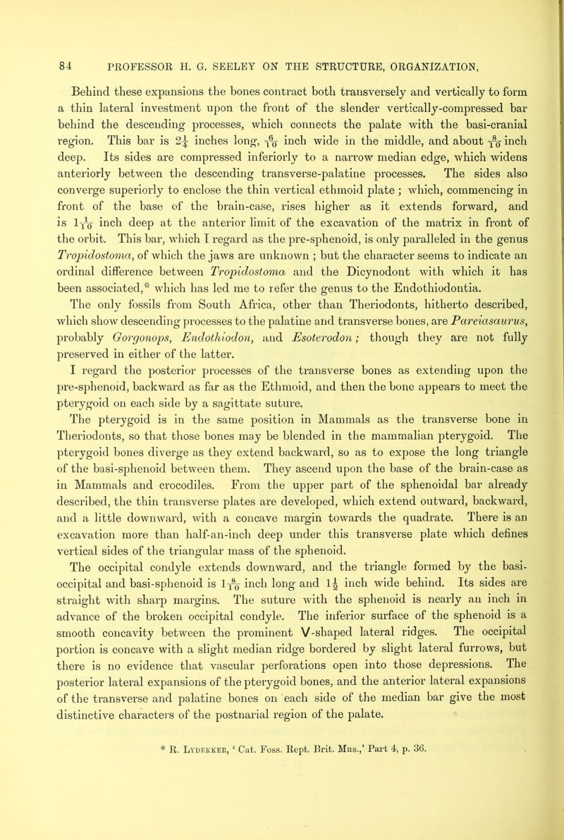 Behind these expansions the bones contract both transversely and vertically to form a thin lateral investment upon the front of the slender vertically-compressed bar behind the descending processes, which connects the palate with the basi-cranial region. This bar is 2^ inches long, -pj inch wide in the middle, and about inch deep. Its sides are compressed interiorly to a narrow median edge, which widens anteriorly between the descending transverse-palatine processes. The sides also converge superiorly to enclose the thin vertical ethmoid plate ; which, commencing in front of the base of the brain-case, rises higher as it extends forward, and is lyo inch deep at the anterior limit of the excavation of the matrix in front of the orbit. This bar, which I regard as the pre-sj)henoid, is only paralleled in the genus Tropidostoma, of which the jaws are unknown ; but the character seems to indicate an ordinal difference between Tropidostoma and the Dicynodont with which it has been associated,' which has led me to refer the genus to the Endothiodontia. The only fossils from South Africa, other than Theriodonts, hitherto described, which show descending processes to the palatine and transverse bones, are Pareiasaurus, probably Gorgonops, Endothiodon, and Esoterodon; though they are not fully preserved in either of the latter. I regard the posterior processes of the transverse bones as extending upon the pre-sphenoid, backward as far as the Ethmoid, and then the bone appears to meet the pterygoid on each side by a sagittate suture. The pterygoid is in the same position in Mammals as the transverse bone in Theriodonts, so that those bones may be blended in the mammalian pterygoid. The pterygoid bones diverge as they extend backward, so as to expose the long triangle of the basi-sphenoid between them. They ascend upon the base of the brain-case as in Mammals and crocodiles. From the upper part of the sphenoidal bar already described, the thin transverse plates are developed, which extend outwTard, backward, and a little downward, with a concave margin towards the quadrate. There is an excavation more than half-an-inch deep under this transverse plate which defines vertical sides of the triangular mass of the sphenoid. The occipital condyle extends downward, and the triangle formed by the basi- occipital and basi-sphenoid is l-x% inch long and 1| inch wide behind. Its sides are straight with sharp margins. The suture with the sphenoid is nearly an inch in advance of the broken occipital condyle. The inferior surface of the sphenoid is a smooth concavity between the prominent V-shaped lateral ridges. The occipital portion is concave with a slight median ridge bordered by slight lateral furrows, but there is no evidence that vascular perforations open into those depressions. The posterior lateral expansions of the pterygoid bones, and the anterior lateral expansions of the transverse and palatine bones on each side of the median bar give the most distinctive characters of the postnarial region of the palate. * R. Lydekkee, ‘ Cut. Foss. Rept. Brit. Mus.,’ Part 4, p. 36.