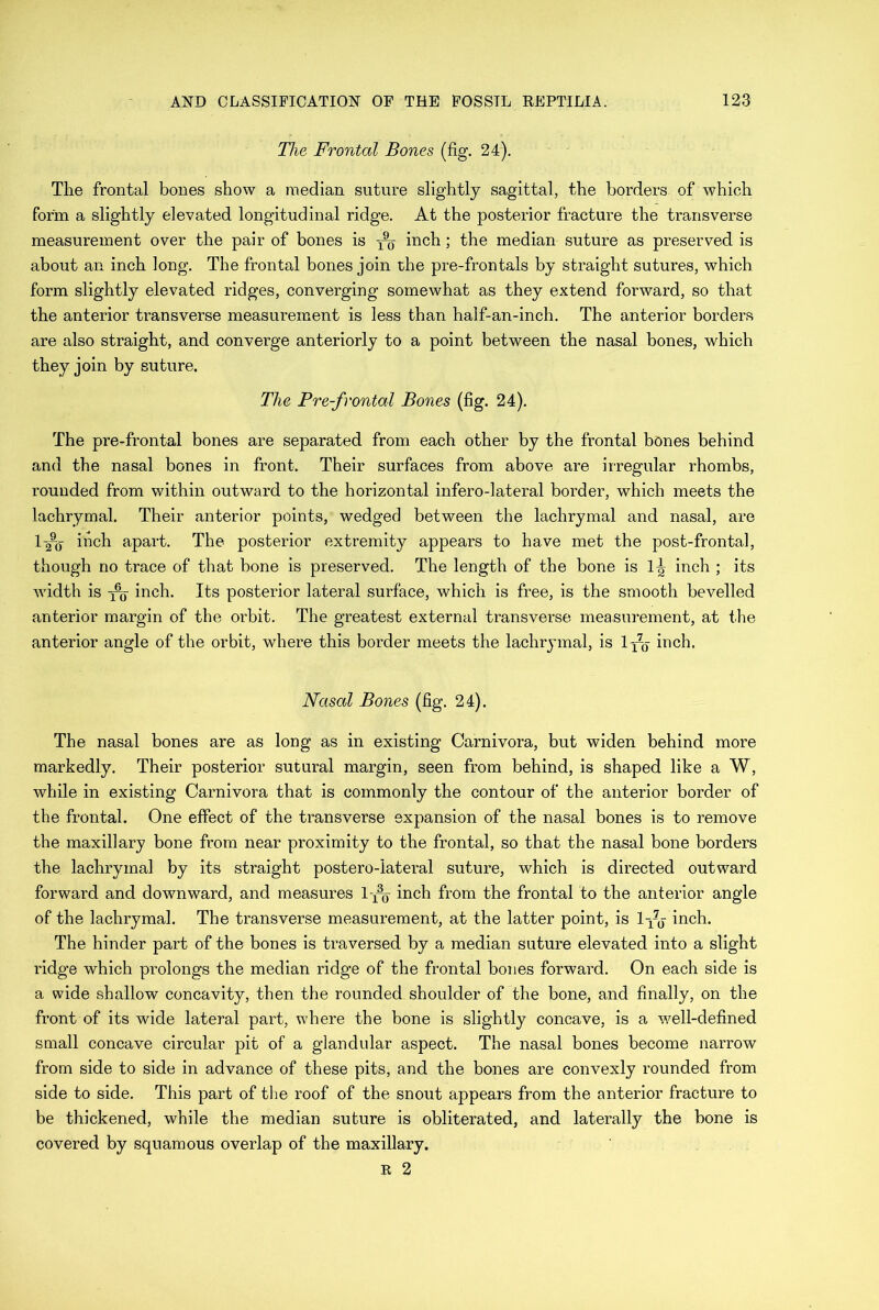 The Frontal Bones (fig. 24). The frontal bones show a median suture slightly sagittal, the borders of which form a slightly elevated longitudinal ridge. At the posterior fracture the transverse measurement over the pair of bones is inch ; the median suture as preserved is about an inch long. The frontal bones join the pre-frontals by straight sutures, which form slightly elevated ridges, converging somewhat as they extend forward, so that the anterior transverse measurement is less than half-an-inch. The anterior borders are also straight, and converge anteriorly to a point between the nasal bones, which they join by suture. The Pre-frontal Bones (fig. 24). The pre-frontal bones are separated from each other by the frontal bones behind and the nasal bones in front. Their surfaces from above are irregular rhombs, rounded from within outward to the horizontal infero-lateral border, which meets the lachrymal. Their anterior points, wedged between the lachrymal and nasal, are l-2-o inch apart. The posterior extremity appears to have met the post-frontal, though no trace of that bone is preserved. The length of the bone is 1^ inch ; its width is inch. Its posterior lateral surface, which is free, is the smooth bevelled anterior margin of the orbit. The greatest external transverse measurement, at the anterior angle of the orbit, where this border meets the lachrymal, is l-^ inch. Nasal Bones (fig. 24). The nasal bones are as long as in existing Carnivora, but widen behind more markedly. Their posterior sutural margin, seen from behind, is shaped like a W, while in existing Carnivora that is commonly the contour of the anterior border of the frontal. One effect of the transverse expansion of the nasal bones is to remove the maxillary bone from near proximity to the frontal, so that the nasal bone borders the lachrymal by its straight postero-lateral suture, which is directed outward forward and downward, and measures l-x% inch from the frontal to the anterior angle of the lachrymal. The transverse measurement, at the latter point, is Iyj inch. The hinder part of the bones is traversed by a median suture elevated into a slight ridge which prolongs the median ridge of the frontal bones forward. On each side is a wide shallow concavity, then the rounded shoulder of the bone, and finally, on the front of its wide lateral part, where the bone is slightly concave, is a well-defined small concave circular pit of a glandular aspect. The nasal bones become narrow from side to side in advance of these pits, and the bones are convexly rounded from side to side. This part of the roof of the snout appears from the anterior fracture to be thickened, while the median suture is obliterated, and laterally the bone is covered by squamous overlap of the maxillary. R 2