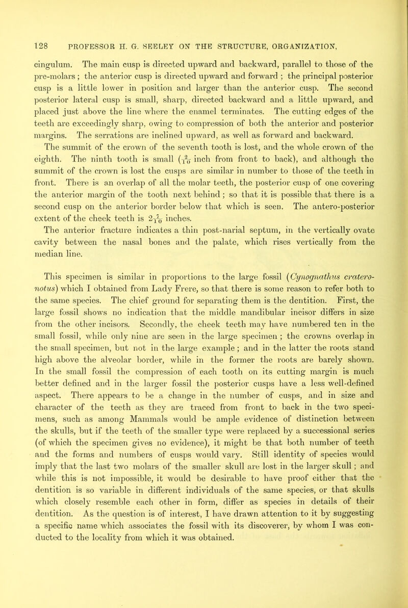 cingulum. The main cusp is directed upward and backward, parallel to those of the pre-molars ; the anterior cusp is directed upward and forward ; the principal posterior cusp is a little lower in position and larger than the anterior cusp. The second posterior lateral cusp is small, sharp, directed backward and a little upward, and placed just above the line where the enamel terminates. The cutting edges of the teeth are exceedingly sharp, owing to compression of both the anterior and posterior margins. The serrations are inclined upward, as well as forward and backward. The summit of the crown of the seventh tooth is lost, and the whole crown of the eighth. The ninth tooth is small (-x% inch from front to back), and although the summit of the crown is lost the cusps are similar in number to those of the teeth in front. There is an overlap of all the molar teeth, the posterior cusp of one covering the anterior margin of the tooth next behind; so that it is possible that there is a second cusp on the anterior border below that which is seen. The antero-posterior extent of the cheek teeth is 2-^% inches. The anterior fracture indicates a thin post-narial septum, in the vertically ovate cavity between the nasal bones and the palate, which rises vertically from the median line. This specimen is similar in proportions to the large fossil (Cynognathus cratero- notus) which I obtained from Lady Frere, so that there is some reason to refer both to the same species. The chief ground for separating them is the dentition. First, the large fossil shows no indication that the middle mandibular incisor differs in size from the other incisors. Secondly, the cheek teeth may have numbered ten in the small fossil, while only nine are seen in the large specimen ; the crowns overlap in the small specimen, but not in the large example ; and in the latter the roots stand high above the alveolar border, while in the former the roots are barely shown. In the small fossil the compression of each tooth on its cutting margin is much better defined and in the larger fossil the posterior cusps have a less well-defined aspect. There appears to be a change in the number of cusps, and in size and character of the teeth as they are traced from front to back in the two speci- mens, such as among Mammals would be ample evidence of distinction between the skulls, but if the teeth of the smaller type were replaced by a successional series (of which the specimen gives no evidence), it might be that both number of teeth and the forms and numbers of cusps would vary. Still identity of species would imply that the last two molars of the smaller skull are lost in the larger skull; and while this is not impossible, it would be desirable to have proof either that the dentition is so variable in different individuals of the same species, or that skulls which closely resemble each other in form, differ as species in details of their dentition. As the question is of interest, I have drawn attention to it by suggesting a specific name w'hich associates the fossil with its discoverer, by whom I was con- ducted to the locality from which it was obtained.