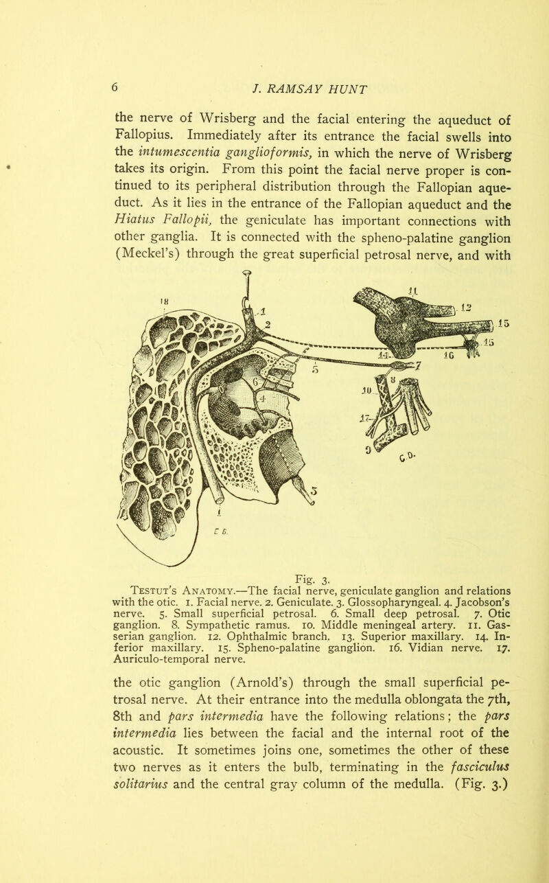 the nerve of Wrisberg and the facial entering the aqueduct of Fallopius. Immediately after its entrance the facial swells into the intumescentia ganglioformis, in which the nerve of Wrisberg takes its origin. From this point the facial nerve proper is con- tinued to its peripheral distribution through the Fallopian aque- duct. As it lies in the entrance of the Fallopian aqueduct and the Hiatus Fallopii, the geniculate has important connections with other ganglia. It is connected with the spheno-palatine ganglion (Meckel’s) through the great superficial petrosal nerve, and with 15 Testut's Anatomy.—The facial nerve, geniculate ganglion and relations with the otic. i. Facial nerve. 2. Geniculate. 3. Glossopharyngeal. 4. Jacobson’s nerve. 5. Small superficial petrosal. 6. Small deep petrosal. 7. Otic ganglion. 8. Sympathetic ramus. 10. Middle meningeal artery. 11. Gas- serian ganglion. 12. Ophthalmic branch. 13. Superior maxillary. 14. In- ferior maxillary. 15. Spheno-palatine ganglion. 16. Vidian nerve. 17. Auriculo-temporal nerve. the otic ganglion (Arnold’s) through the small superficial pe- trosal nerve. At their entrance into the medulla oblongata the 7th, 8th and pars intermedia have the following relations; the pars intermedia lies between the facial and the internal root of the acoustic. It sometimes joins one, sometimes the other of these two nerves as it enters the bulb, terminating in the fasciculus solitarius and the central gray column of the medulla. (Fig. 3.)