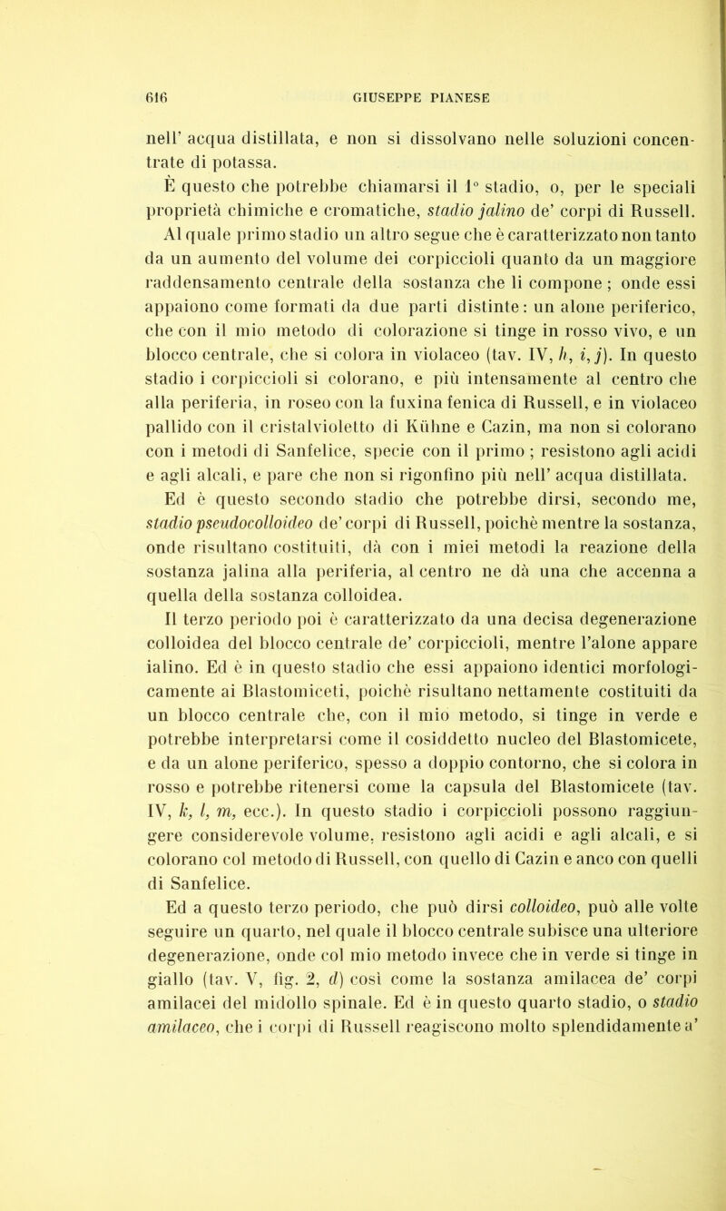 nell’ acqua distillata, e non si dissolvano nelle soluzioni concen- trate di potassa. È questo che potrebbe chiamarsi il 1° stadio, o, per le speciali proprietà chimiche e cromatiche, stadio jalino de’ corpi di Russell. Al quale primo stadio un altro segue che è caratterizzato non tanto da un aumento del volume dei corpiccioli quanto da un maggiore raddensamento centrale della sostanza che li compone ; onde essi appaiono come formati da due parti distinte : un alone periferico, che con il mio metodo di colorazione si tinge in rosso vivo, e un blocco centrale, che si colora in violaceo (tav. IV, h, i,j). In questo stadio i corpiccioli si colorano, e più intensamente al centro che alla periferia, in roseo con la fuxina fenica di Russell, e in violaceo pallido con il cristalvioletto di Kùhne e Cazin, ma non si colorano con i metodi di Sanfelice, specie con il primo ; resistono agli acidi e agli alcali, e pare che non si rigonfino più nell’ acqua distillata. Ed è questo secondo stadio che potrebbe dirsi, secondo me, stadio pseudocolloideo de’ corpi di Russell, poiché mentre la sostanza, onde risultano costituiti, dà con i miei metodi la reazione della sostanza jalina alla periferia, al centro ne dà una che accenna a quella della sostanza colloidea. Il terzo periodo poi è caratterizzato da una decisa degenerazione colloidea del blocco centrale de’ corpiccioli, mentre l’alone appare ialino. Ed è in questo stadio che essi appaiono identici morfologi- camente ai Rlastomiceti, poiché risultano nettamente costituiti da un blocco centrale che, con il mio metodo, si tinge in verde e potrebbe interpretarsi come il cosiddetto nucleo del Blastomicete, e da un alone periferico, spesso a doppio contorno, che si colora in rosso e potrebbe ritenersi come la capsula del Blastomicete (tav. IV, k, l, m, ecc.). In questo stadio i corpiccioli possono raggiun- gere considerevole volume, resistono agli acidi e agli alcali, e si colorano col metodo di Russell, con quello di Cazin e anco con quelli di Sanfelice. Ed a questo terzo periodo, che può dirsi colloideo, può alle volte seguire un quarto, nel quale il blocco centrale subisce una ulteriore degenerazione, onde col mio metodo invece che in verde si tinge in giallo (tav. V, fig. 2, d) così come la sostanza amilacea de’ corpi amilacei del midollo spinale. Ed è in questo quarto stadio, o stadio amilaceo, chei corpi di Russell reagiscono molto splendidamente a’