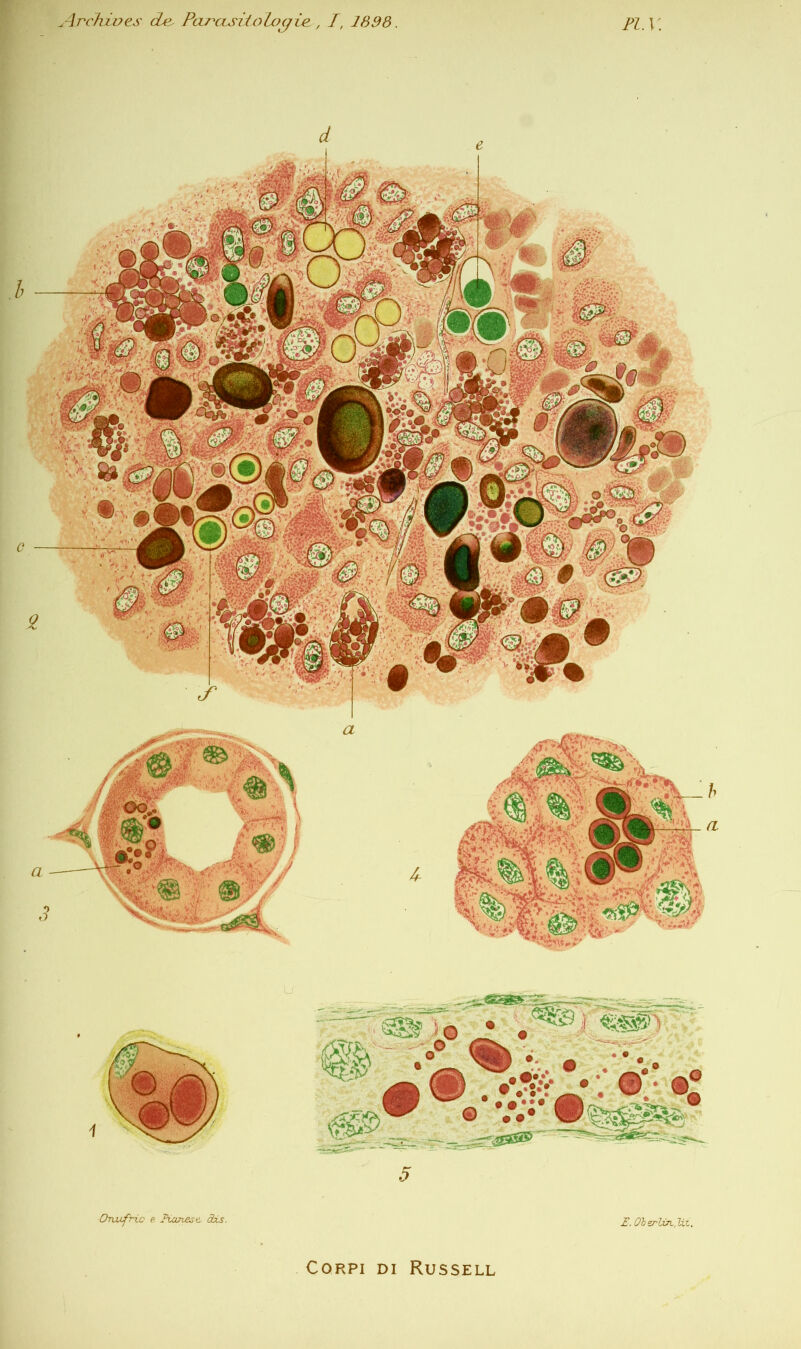 O-rucfric e Eicmese. dxs. E. OberTxn.lit.