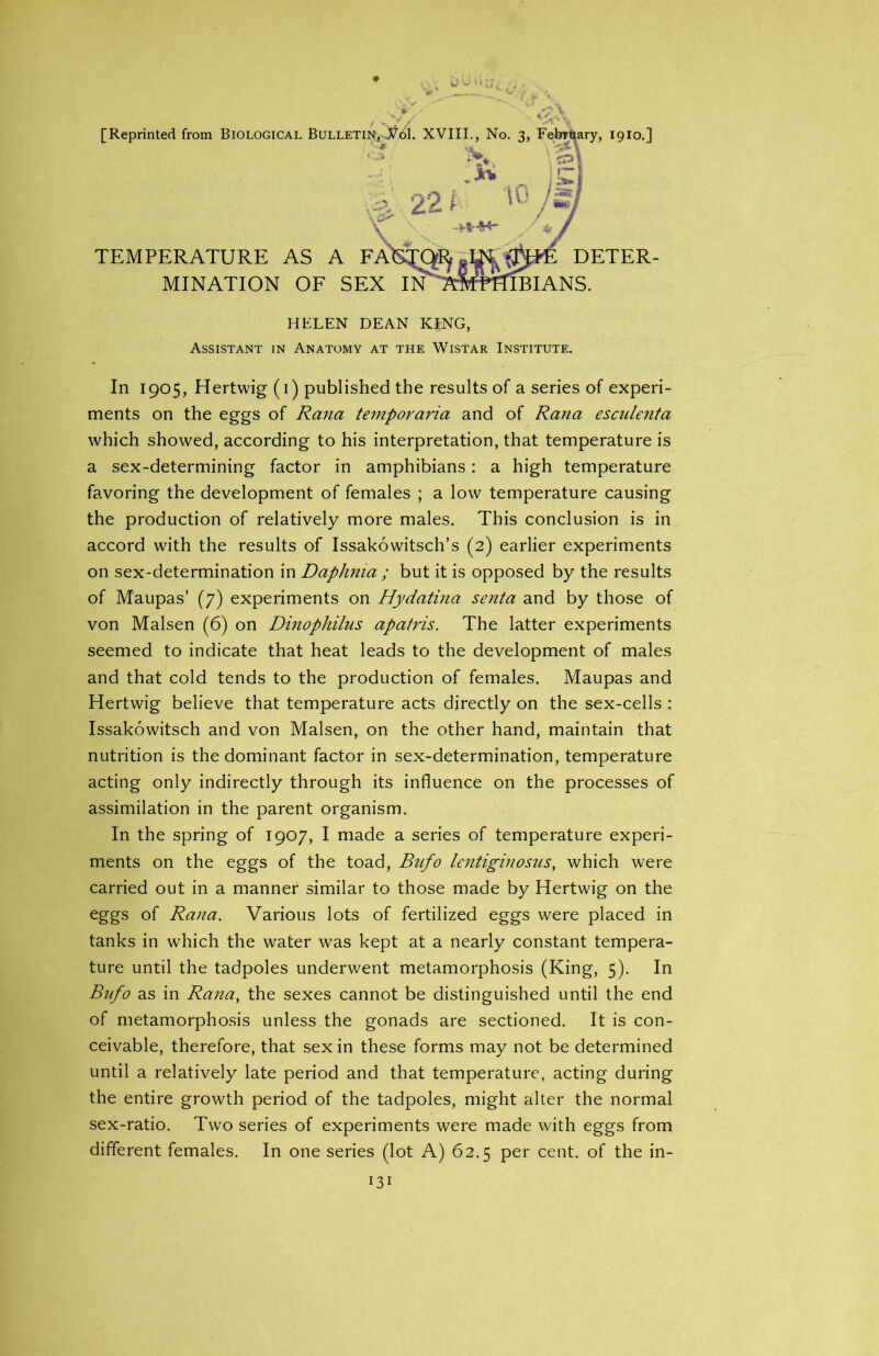 [Reprinted from Biological Bulletin, jfol. XVIII., No. 3, February, 1910.] * v A ^ - id TEMPERATURE AS A MINATION OF SEX I DETER- BIANS. HELEN DEAN KING, Assistant in Anatomy at the Wistar Institute. In 1905, Hertwig (1) published the results of a series of experi- ments on the eggs of Rana temporaria and of Rana esculenta which showed, according to his interpretation, that temperature is a sex-determining factor in amphibians: a high temperature favoring the development of females ; a low temperature causing the production of relatively more males. This conclusion is in accord with the results of Issakowitsch’s (2) earlier experiments on sex-determination in Daphma ; but it is opposed by the results of Maupas’ (7) experiments on Hydatina senta and by those of von Malsen (6) on Dinophilus apairis. The latter experiments seemed to indicate that heat leads to the development of males and that cold tends to the production of females. Maupas and Hertwig believe that temperature acts directly on the sex-cells : Issakowitsch and von Malsen, on the other hand, maintain that nutrition is the dominant factor in sex-determination, temperature acting only indirectly through its influence on the processes of assimilation in the parent organism. In the spring of 1907, I made a series of temperature experi- ments on the eggs of the toad, Bufo lentiginosus, which were carried out in a manner similar to those made by Hertwig on the eggs of Rana. Various lots of fertilized eggs were placed in tanks in which the water was kept at a nearly constant tempera- ture until the tadpoles underwent metamorphosis (King, 5). In Bufo as in Rana, the sexes cannot be distinguished until the end of metamorphosis unless the gonads are sectioned. It is con- ceivable, therefore, that sex in these forms may not be determined until a relatively late period and that temperature, acting during the entire growth period of the tadpoles, might alter the normal sex-ratio. Two series of experiments were made with eggs from different females. In one series (lot A) 62.5 per cent, of the in-