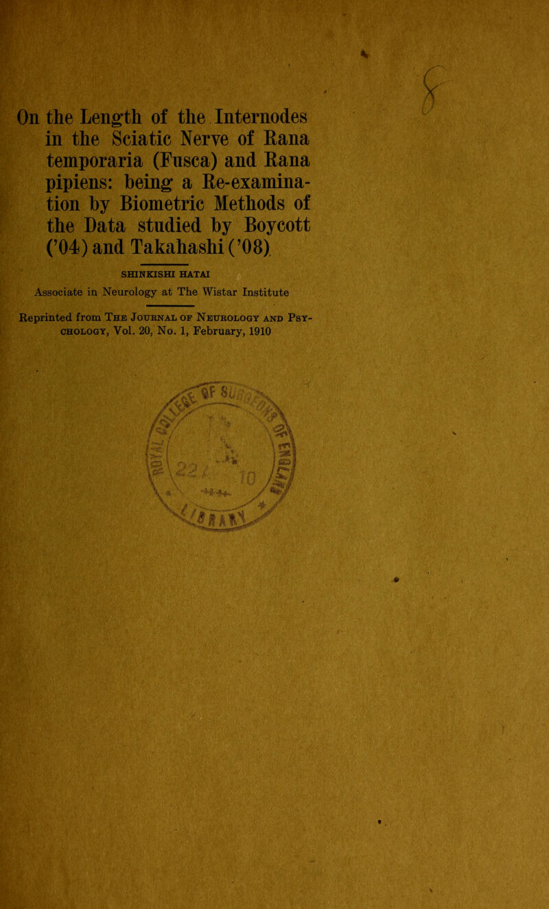 ( I On the Length of the Internodes in the Sciatic Nerve of Rana temporaria (Fusca) and Rana pipiens: being a Re-examina- tion by Biometric Methods of the Data studied by Boycott (’04) and Takahashi (’08) SHINKISHI HATAI Associate in Neurology at The Wistar Institute Reprinted from The Journal of Neurology and Psy- chology, Vol. 20, No. 1, February, 1910