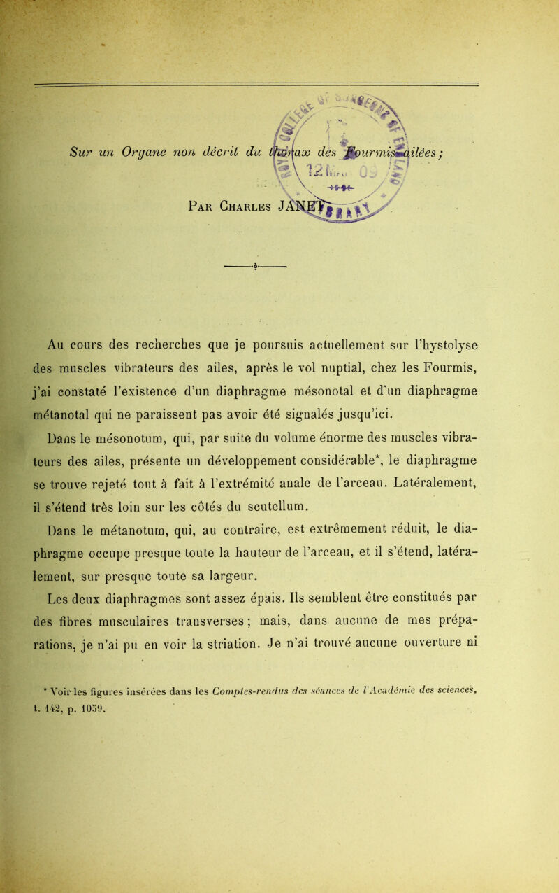 des muscles vibrateurs des ailes, après le vol nuptial, chez les Fourmis, j’ai constaté l’existence d’un diaphragme mésonotal et d’un diaphragme métanotal qui ne paraissent pas avoir été signalés jusqu’ici. Dans le mésonotum, qui, par suite du volume énorme des muscles vibra- teurs des ailes, présente un développement considérable*, le diaphragme se trouve rejeté tout à fait à l’extrémité anale de l’arceau. Latéralement, il s’étend très loin sur les côtés du scutellum. Dans le métanotum, qui, au contraire, est extrêmement réduit, le dia- phragme occupe presque toute la hauteur de l’arceau, et il s’étend, latéra- lement, sur presque toute sa largeur. Les deux diaphragmes sont assez épais. Ils semblent être constitués par des fibres musculaires transverses ; mais, dans aucune de mes prépa- rations, je n’ai pu en voir la striation. Je n’ai trouvé aucune ouverture ni * Voir les figures insérées dans les Comptes-rendus des séances de l'Académie des sciences, t. 142, p. 1059.