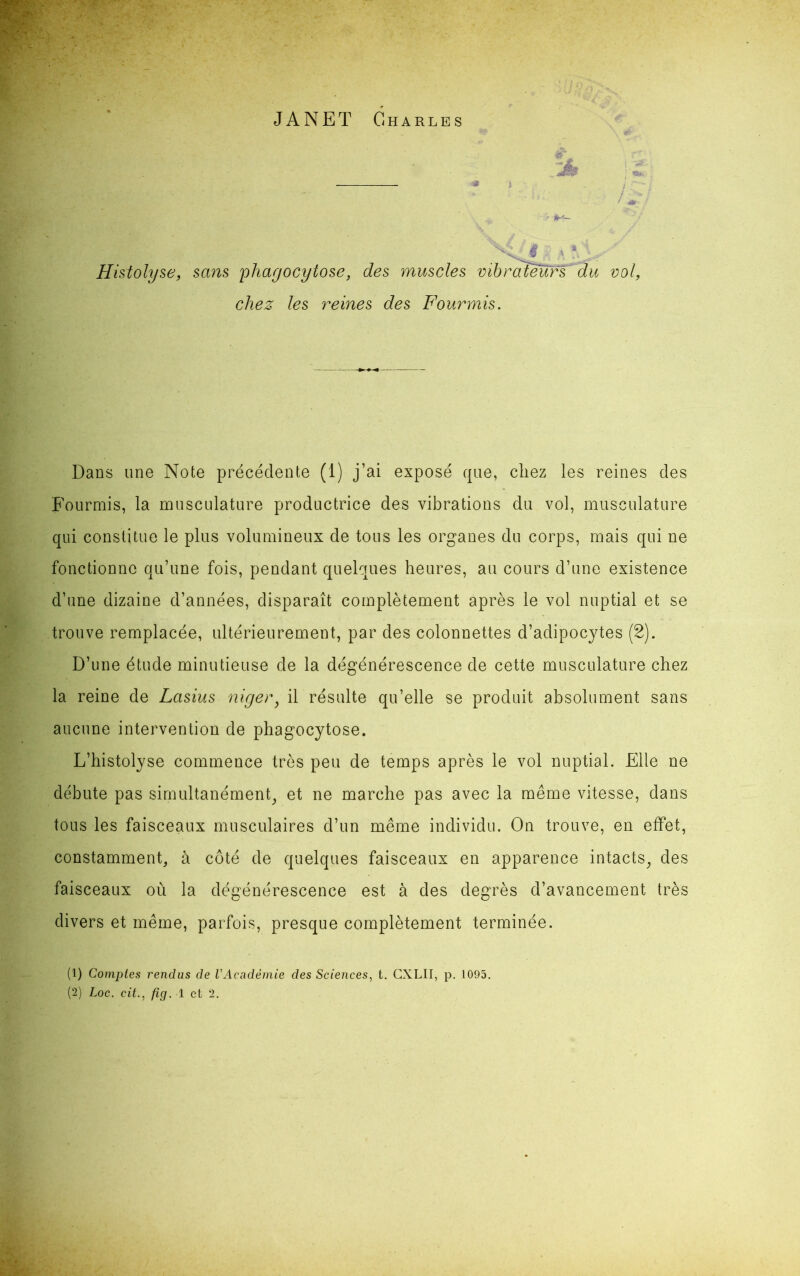 Histolyse, sans phagocytose, des muscles vibrateurs' du vol, chez les reines des Fourmis. Dans une Note précédente (1) j’ai exposé que, chez les reines des Fourmis, la musculature productrice des vibrations du vol, musculature qui constitue le plus volumineux de tous les organes du corps, mais qui ne fonctionne qu’une fois, pendant quelques heures, au cours d’une existence d’une dizaine d’années, disparaît complètement après le vol nuptial et se trouve remplacée, ultérieurement, par des colonnettes d’adipocytes (2). D’une étude minutieuse de la dégénérescence de cette musculature chez la reine de Lasius niger, il résulte qu’elle se produit absolument sans aucune intervention de phagocytose. L’histolyse commence très peu de temps après le vol nuptial. Elle ne débute pas simultanément, et ne marche pas avec la même vitesse, dans tous les faisceaux musculaires d’un même individu. On trouve, en effet, constamment, à côté de quelques faisceaux en apparence intacts, des faisceaux où la dégénérescence est à des degrés d’avancement très divers et même, parfois, presque complètement terminée. (1) Comptes rendus de l'Académie des Sciences, t. CXLII, p. 1095.