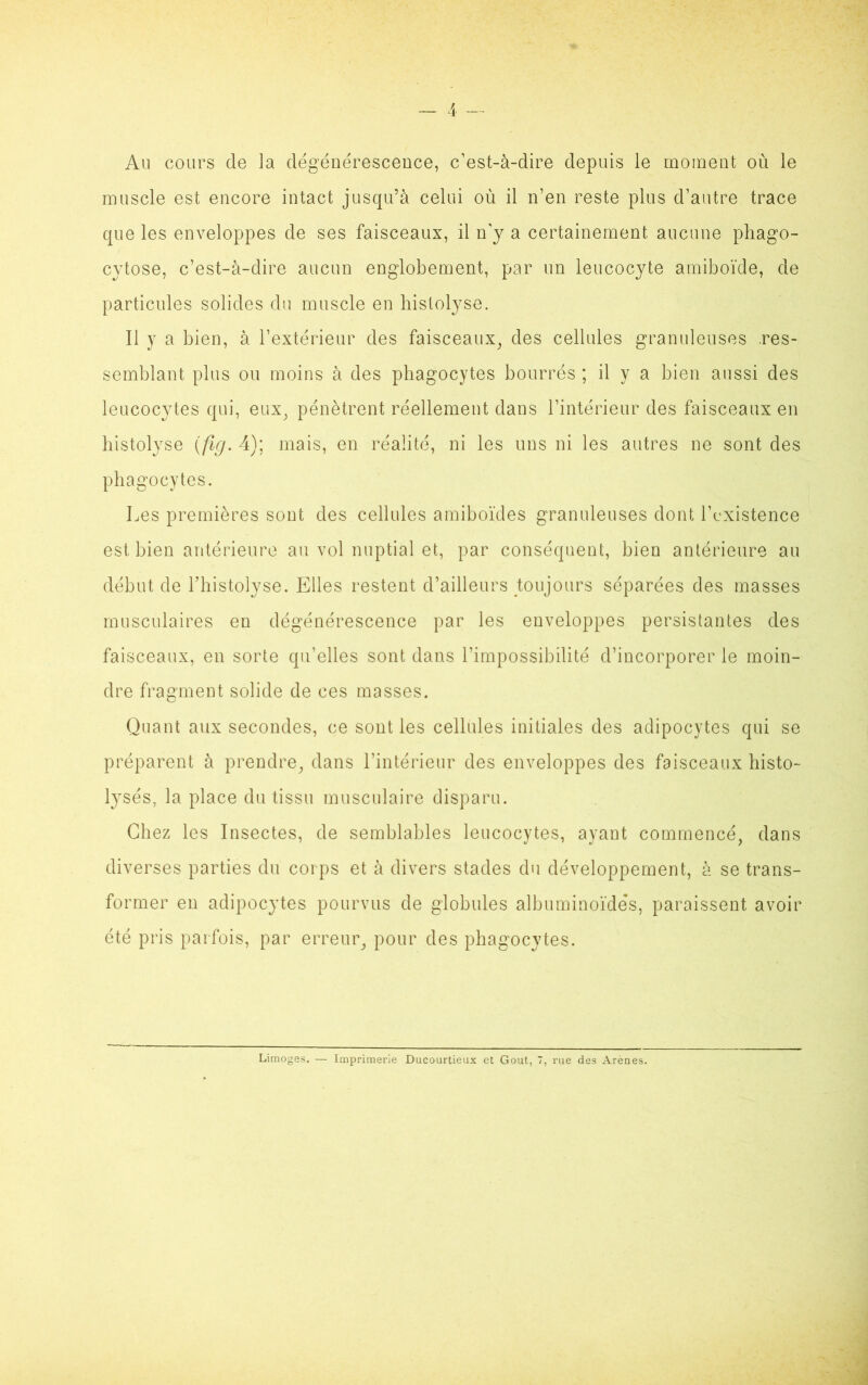 Au cours de la dégénérescence, c’est-à-dire depuis le moment où le muscle est encore intact jusqu’à celui où il n’en reste plus d’autre trace que les enveloppes de ses faisceaux, il n’y a certainement aucune phago- cytose, c’est-à-dire aucun englobement, par un leucocyte amiboïde, de particules solides du muscle en histolyse. Il y a bien, à l’extérieur des faisceaux, des cellules granuleuses res- semblant plus ou moins à des phagocytes bourrés ; il y a bien aussi des leucocytes qui, eux, pénètrent réellement dans l’intérieur des faisceaux en histolyse (fîg. 4); mais, en réalité, ni les uns ni les autres ne sont des phagocytes. Les premières sont des cellules amiboïdes granuleuses dont l’existence est bien antérieure au vol nuptial et, par conséquent, bien antérieure au début de l’histolyse. Elles restent d’ailleurs toujours séparées des masses musculaires en dégénérescence par les enveloppes persistantes des faisceaux, en sorte qu’elles sont dans l’impossibilité d’incorporer le moin- dre fragment solide de ces masses. Quant aux secondes, ce sont les cellules initiales des adipocytes qui se préparent à prendre, dans l’intérieur des enveloppes des faisceaux histo- lysés, la place du tissu musculaire disparu. Chez les Insectes, de semblables leucocytes, ayant commencé, dans diverses parties du corps et à divers stades du développement, à se trans- former en adipocytes pourvus de globules albuminoïdes, paraissent avoir été pris parfois, par erreur, pour des phagocytes.