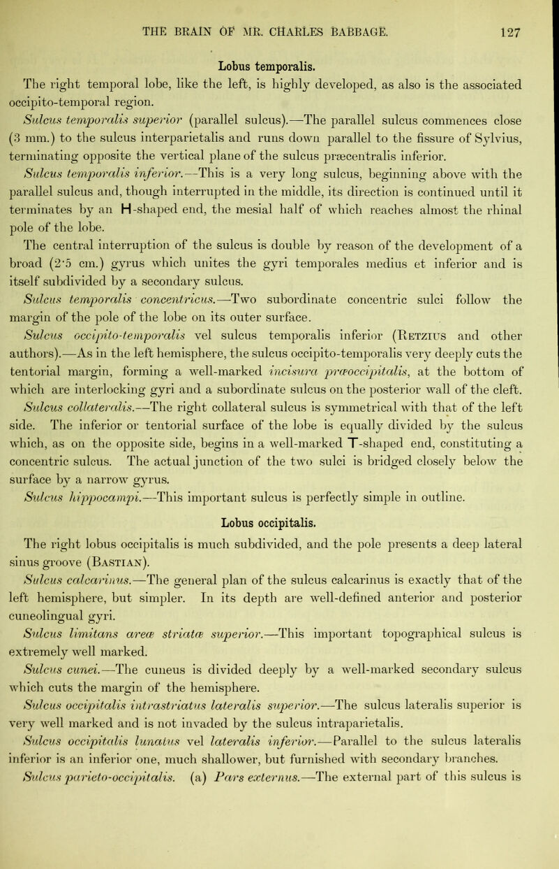Lobus temporalis. The right temporal lobe, like the left, is highly developed, as also is the associated occipito-temporal region. Sulcus temporalis superior (parallel sulcus).—The parallel sulcus commences close (3 mm.) to the sulcus interparietalis and runs down parallel to the fissure of Sylvius, terminating opposite the vertical plane of the sulcus prsecentralis inferior. Sulcus temporalis inferior.—This is a very long sulcus, beginning above with the parallel sulcus and, though interrupted in the middle, its direction is continued until it terminates by an H-shaped end, the mesial half of which reaches almost the rhinal pole of the lobe. The central interruption of the sulcus is double by reason of the development of a broad (2’5 cm.) gyrus which unites the gyri temporales medius et inferior and is itself subdivided by a secondary sulcus. Sulcus temporalis concentricus.—Two subordinate concentric sulci follow the margin of the pole of the lobe on its outer surface. Sulcus occipito-temporalis vel sulcus temporalis inferior (Retzius and other authors).—As in the left hemisphere, the sulcus occipito-temporalis very deeply cuts the tentorial margin, forming a well-marked incisura prceoccipitalis, at the bottom of which are interlocking gyri and a subordinate sulcus on the posterior wall of the cleft. Sulcus collaterals.—The right collateral sulcus is symmetrical with that of the left side. The inferior or tentorial surface of the lobe is equally divided by the sulcus which, as on the opposite side, begins in a well-marked T-shaped end, constituting a concentric sulcus. The actual junction of the two sulci is bridged closely below the surface by a narrow gyrus. Sulcus hippocampi.—This important sulcus is perfectly simple in outline. Lobus occipitalis. The right lobus occipitalis is much subdivided, and the pole presents a deep lateral sinus groove (Bastian). Sulcus calcarinus.—The general plan of the sulcus calcarinus is exactly that of the left hemisphere, but simpler. In its depth are well-defined anterior and posterior cuneolingual gyri. Sulcus limitans arece striatce superior.—This important topographical sulcus is extremely well marked. Sulcus cunei.—The cuneus is divided deeply by a well-marked secondary sulcus which cuts the margin of the hemisphere. Sulcus occipitalis intrastriatus lateralis superior.—The sulcus lateralis superior is very well marked and is not invaded by the sulcus intraparietalis. Sulcus occipitalis lunatus vel lateralis inferior.-—Parallel to the sulcus lateralis inferior is an inferior one, much shallower, but furnished with secondary branches. Sulcus parieto-occipitalis, (a) Pars externus.—The external part of this sulcus is