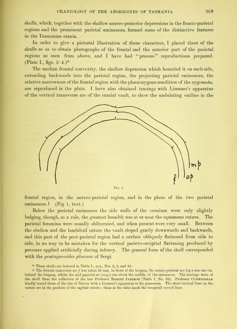 skulls, which, together with the shallow antero-posterior depressions in the fronto-parietal regions and the prominent parietal eminences, formed some of the distinctive features in the Tasmanian crania. In order to give a pictorial illustration of these characters, I placed three of the skulls so as to obtain photographs of the frontal and the anterior part of the parietal regions as seen from above, and I have had “process” reproductions prepared. (Plate L, figs. 2-4.)'’^ The median frontal convexity, the shallow depression which bounded it on each side, extending backwards into the parietal region, the projecting parietal eminences, the relative narrowness of the frontal region with the phgenozygous condition of the zygomata, are reproduced in the plate. I have also obtained tracings with Lissauer’s apparatus of the vertical transverse arc of the cranial vault, to show the undulating outline in the frontal region, in the antero-parietal region, and in the plane of the two parietal eminences.! (Fig 1, text.) Below the parietal eminences the side walls of the cranium were only slightly bulging, though, as a rule, the greatest breadth was at or near the squamous suture. The parietal foramina were usually obliterated, and when present were very small. Between the obelion and the lambdoid suture the vault sloped gently downwards and backwards, and this part of the post-parietal region had a surface obliquely flattened from side to side, in no way to be mistaken for the vertical parieto-occipital flattening produced by pressure applied artificially during infancy. The general form of the skull corresponded with the ijentagonoides planum of Sergi. * The.se skulls are lettered in Table I., xxx., Nos. 2, 5, and 10. t The frontal trail,sverse arc/was taken 35 mm. in front of the bregma, the antero-parietal arc (ftp.) was one cm. behind the bregma, whilst the mid-parietal arc (m.p.) was about the middle of the eminences. The tracings were of the skull from the collection of the late Professor Robert Jameson (Table I. No. 10). Professor Cunningham kindly traced them of the size of Nature with a Lis.sauer’s apparatus in his possession. The short vertical lines on the vertex are in the position of the sagittal suture ; those at the sides mark the temporal curved lines.