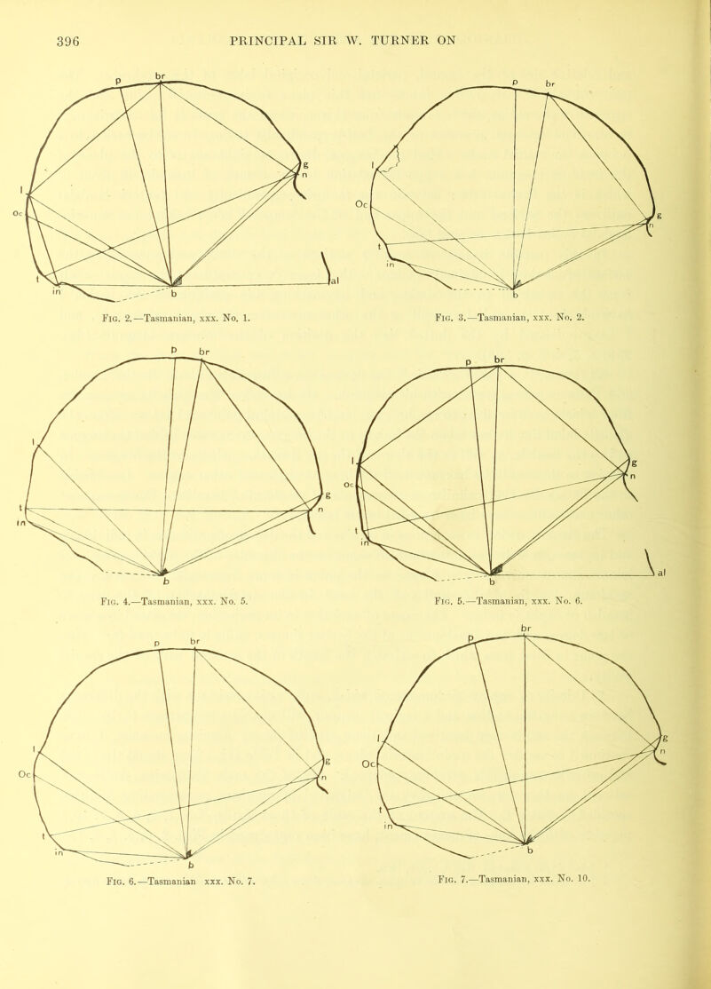 Fig. 6.—Tasmanian xxx. Ko. 7. Fig. 7.—Tasmanian, xxx. No. 10.