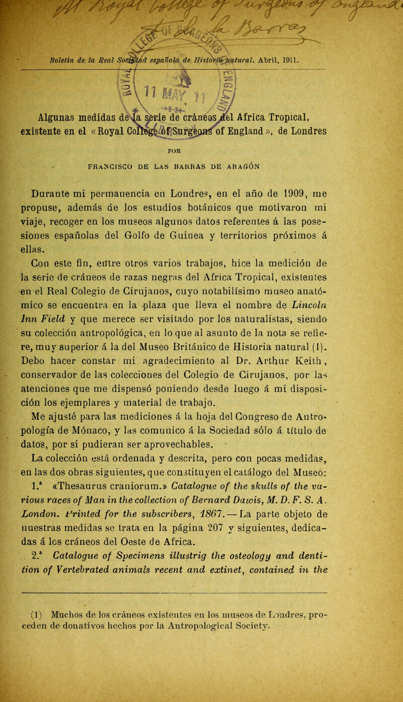 Durante mi permanencia en Londre?, en el año de 1909, me propuse, además de los estudios botánicos que motivaron mi viaje, recoger en los museos algunos dalos referentes á las pose- siones españolas del Golfo de Guinea y territorios próximos á ellas. Con este fin, ecftre otros varios trabajos, hice la medición de la serie de cráneos de razas negras del Africa Tropical, existentes -en el Real Colegio de Cirujanos, cuyo notabilísimo museo anató- mico se encuentra en la plaza que lleva el nombre de Lincoln Inn Field y que merece ser visitado por los naturalistas, siendo su colección antropológica, en lo que al asunto de la nota se refie- re, muy superior á la del Museo Británico de Historia natural (1). Debo hacer constar mi agradecimiento al Dr. Arthur Keitb, conservador de las colecciones del Colegio de Cirujanos, por las atenciones que me dispensó poniendo desde luego á mi disposi- ción los ejemplares y material de trabajo. Me ajusté para las mediciones á la hoja del Congreso de Antro- pología de Mónaco, y las comunico á la Sociedad sólo á título de datos, por si pudieran ser aprovechables. La colección está ordenada y descrita, pero con pocas medidas, en las dos obras siguientes, que constituyen el catálogo del Museo: 1. “ «Thesaurus craniorum.» Catalogue of the skulls of the va~ rious races of Man in the collection of Bernard Dawis, M. D. F. S. A. London. Frinted for the subscribers^ i861. — La parte objeto de nuestras medidas se trata en la página 207 y siguientes, dedica- das á los cráneos del Oeste de Africa. 2. “ Catalogue of Specimens illustrig the osteology and denti- iion of Vertebrated animáis recent and extinet, contained in the (1) Muchos de los cráneos existentes en los museos de Londres, pro- ceden de donativos hechos por la Antropological Society.