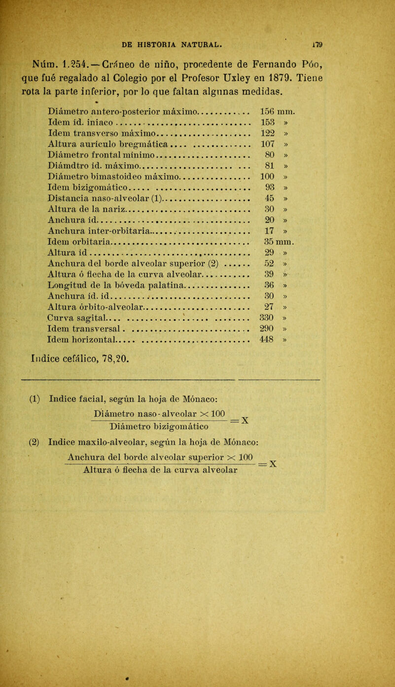 Nlím. 1.254. —Cráneo de niño, procedente de Fernando Póo, que fué regalado al Colegio por el Profesor Uxley en 1879. Tiene rota la parte inferior, por lo que faltan algunas medidas. Diámetro antero-posterior máximo 156 mm. Idem id. iniaco - 153 » Idem transverso máximo Í22 » Altura aurículo bregmática 107 » Diámetro frontal mínimo 80 » Diámdtro id. máximo 81 » Diámetro bimastoideo máximo 100 » Idem bizigomático 93 » Distancia naso-alveolar (1) 45 » Altura de la nariz 30 » Anchura id 20 » Anchura inter-orbitaria 17 » Idem orbitaria 35 mm. Altura id 29 » Anchura del borde alveolar superior (2) 52 » Altura ó flecha de la curva alveolar. 39 » Longitud de la bóveda palatina 36 » Anchura id. id 30 » Altura órbito-alveolar 27 » Curva sagital ! 330 » Idem transversal 290 » Idem horizontal 448 » Indice cefálico, 78,20. (1) Indice facial, según la hoja de Mónaco: Diámetro naso-alveolar x 100 ^ Diámetro bizigomático (2) Indice maxilo-alveolar, según la hoja de Mónaco: Anchura del borde alveolar superior x 100 ^ Altura ó flecha de la curva alveolar