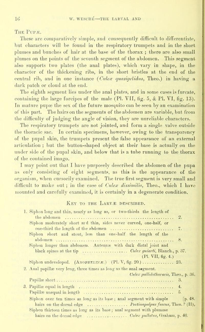 The Pup,e. These are comparatively simple, and consequently difficult to differentiate, but characters will be found in the respiratory trumpets and in the short plumes and bunches of hair at the base of the thorax ; there are also small plumes on the points of the seventh segment of the abdomen. This segment also supports two plates (the anal plates), which vary in shape, in the character of the thickening ribs, in the short bristles at the end of the central rib, and in one instance (Culex quasigelidus, Theo.) in having a dark patch or cloud at the end. The eighth segment lies under the anal plates, and in some cases is furcate, containing the large forcipes of the male (PI. VII, fig. 5, & PI. VI, fig. 13). In mature pupas the sex of the future mosquito can be seen by an examination of this part. The hairs on the segments of the abdomen are variable, but from the difficulty of judging the angle of vision, they are unreliable characters. The respiratory trumpets are not jointed, and form a single valve outside the thoracic sac. In certain specimens, however, owing to the transparency of the pupal skin, the trumpets present the false appearance of an external articulation ; but the button-shaped object at their base is actually on the under side of the pupal skin, and below that is a tube running to the thorax of the contained imago. I may point out that I have purposely described the abdomen of the pupa as only consisting of eight segments, as this is the appearance of the organism, when cursorily examined. The true first segment is very small and difficult to make out; in the case of Culex dissimilis, Theo., which I have mounted and carefully examined, it is certainly in a degenerate condition. Key to the Larvae described. 1. Siphon long and thin, nearly as long as, or two-thirds the length of the abdomen 2. Siphon moderately short ard thin, sides never curved, one-half, or one-third the length of the abdomen 7. Siphon short and stout, less than one-half the length of the abdomen 8. Siphon longer than abdomen. Antennae with dark distal joint and black spines at the tip Culex guiarti, Blanch., p. 37. (PI. VII, fig. 4.) Siphon undeveloped. (Anophelin.*.) (PI. V, fig. 20.) 23. 2. Anal papillae very long, three times as long as the anal segment. Culex pallidothoracis, Theo., p. 36, Papillae short 3. 3. Papillae equal in length 4. Papillae unequal in length 5. Siphon over ten times as long as its base ; anal segment with simple [p. 48. hairs on the dorsal edge Pectinopalpus fuscus, Theo. ? (If), Siphon thirteen times as long as its base; anal segment with plumose hairs on the dorsal edge Culex• pullatus, Graham, p. 46.