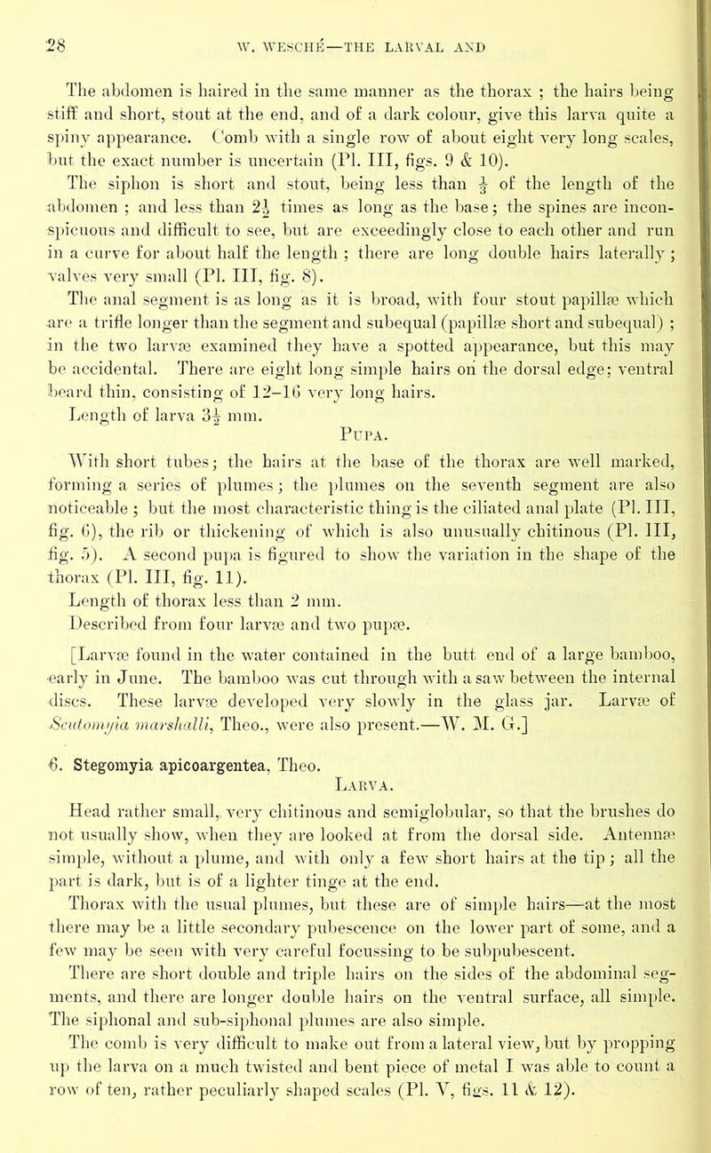 The abdomen is haired in the same manner as the thorax ; the hairs being- stiff and short, stout at the end, and o£ a dark colour, give this larva quite a spiny appearance. Comb with a single row of about eight very long scales, but the exact number is uncertain (PL III, figs. 9 & 10). The siphon is short and stout, being less than ^ of the length of the abdomen ; and less than 2^ times as long as the base; the spines are incon- spicuous and difficult to see, but are exceedingly close to each other and run in a curve for about half the length ; there are long double hairs laterally ; valves very small (PL III, fig. 8). The anal segment is as long as it is broad, with four stout papillae which are a trifle longer than the segment and subequal (papillae short and subequal) ; in the two larvae examined they have a spotted appearance, but this may be accidental. There are eight long simple hairs oh the dorsal edge; ventral beard thin, consisting of 12-16 very long hairs. Length of larva 3^ mm. Pupa. With short tubes; the hairs at the base of the thorax are well marked, forming a series of plumes; the plumes on the seventh segment are also noticeable ; but the most characteristic thing is the ciliated anal plate (PL III, fig. 6), the rib or thickening of which is also unusually chitinous (PL III, fig. 5). A second pupa is figured to show the variation in the shape of the thorax (PL III, fig. 11). Length of thorax less than 2 mm. Described from four larvae and two pupae. [Larvae found in the water contained in the butt end of a large bamboo, ■early in June. The bamboo was cut through with a saw between the internal ■discs. These larvae developed very slowly in the glass jar. Larvae of Scutomyia marshalli, Theo., were also present.—W. M. G.] 6. Stegomyia apicoargentea, Theo. Larva. Head rather small,, very chitinous and semiglobular, so that the brushes do not usually show, when they are looked at from the dorsal side. Antennae simple, without a plume, and with only a few short hairs at the tip ; all the part is dark, but is of a lighter tinge at the end. Thorax with the usual plumes, but these are of simple hairs—-at the most there may be a little secondary pubescence on the lower part of some, and a few may be seen with very careful focussing to be subpubescent. There are short double and triple hairs on the sides of the abdominal seg- ments, and there are longer double hairs on the ventral surface, all simple. The siphonal and sub-siphonal plumes are also simple. The comb is very difficult to make out from a lateral view, but by propping up the larva on a much twisted and bent piece of metal I was able to count a