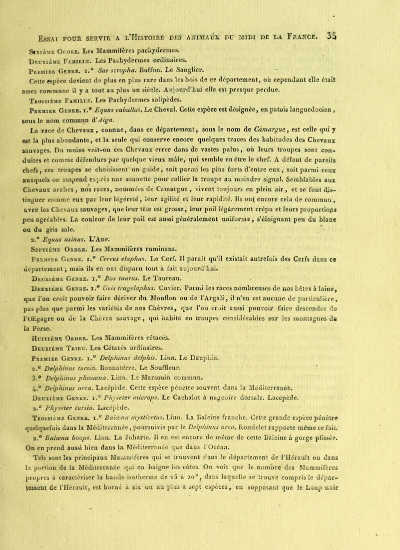 Sixième Ordre. Les Mammifères pachydermes. Deuxième Famille. Les Pachydermes ordinaires. Premier Genre. i.° Sus scropha. Buffon. Le Sanglier. Celte espèce devient de plus en plus rare dans les bois de ce département, où cependant elle était assez commune il y a tout au plus un siècle. Aujourd’hui elle est presque perdue. Troisième Famille. Les Pachydermes solipèdes. Premier Genre. i.# Equus caballus. Le Cheval. Cette espèce est désignée, en patois languedocien, sous le nom commun d' Aiga. La race de Chevaux , connue, dans ce département, sous le nom de Càmargue, est celle qui y est la plus abondante, et la seule qui conserve encore quelques traces des habitudes des Chevaux sauvages. Du moins voit-on ces Chevaux errer dans de vastes palus, où leurs troupes sont con- duites et comme défendues par quelque vieux mâle, qui semble en être le chef. A défaut de pareils chefs ces troupes se choisissent un guide, soit parmi les plus forts d’entre eux, soit parmi ceux auxquels on suspend exprès une sonnette pour rallier la troupe au moindre signal. Semblables aux Chevaux arabes, nos races, nommées de Camargue, vivent toujours en plein air, et se font dis- tinguer comme eux par leur légèreté, leur agilité et leur rapidité. Us on( encore cela de commun, avec les Chevaux sauvages, que leur tète est grosse, leur poil légèrement crépu et leurs proportions peu agréables. La couleur de leur poil est aussi généralement uniforme, s’éloignant peu du blanc ou du gris sale. a.® Equus asinus. L’Ane. Septième Ordre. Les Mammifères ruminans. Premier Genre. i.° Cervus elaphus. Le Cerf. Il paraît qu’il existait autrefois des Cerfs dans ce département ; mais ils en ont disparu tout à fait aujourd’hui. Deuxième Genre. i.° Eos taurus. Le Taureau. Deuxième Genre. i.° Cois tragelaplius. Cuvier. Parmi les races nombreuses de nos fcétes à laine, que l’on croit pouvoir faire dériver du Mouflon ou de l’Argali, il n’en est aucune de particulière, pas plus que parmi les variétés de nos Chèvres, que l’on croit aussi pouvoir faire descendre de l’OEgagre ou de la Chèvre sauvage, qui habite en troupes considérables sur les montagnes de la Perse. Huitième Ordre. Les Mammifères cétacés. Deuxième Tribu. Les Cétacés ordinaires. Premier Genre. i.° Delphinus delpkis. Linn. Le Dauphin. 2.8 Delphinus tursio. Bonnatérre. Le Souffleur. 3. ® Delphinus phocœna. Linn. Le Marsouin commun. 4. ° Delphinus orca. Lacépède. Cette espèce pénètre souvent dans la Méditerranée. Deuxième Genre. i.° Phjseter microps. Le Cachalot à nageoire dorsale. Lacépède. 2.° Physeter tursio. Lacépède. Troisième Genre. i.° Baiœna rnysticetus. Linn. La Baleine franche. Cette grande espèce pénètre quelquefois dans la Méditerranée, poursuivie par le Delphinus orca. Rondelet rapporte même ce fait. 2.° Baiœna boops. Linn. La Jubarte. Il en est encore de même de cette Baleine à gorge plissée. On en prend aussi bien dans la. Méditerranée que dans l’Océan. Tels sont les principaux Mammifères qui se trouvent cans le département de l’Hérault ou dans la portion de la Méditerranée qui en baigne les côtes. On voit que le nombre des Mammifères propres à caractériser la bande isoi'nerme de i5 à 20°, dans laquelle se trouve compris le dépar- tement de l’Hérault, est borné à six ou au plus à sept espèces, en supposant que le Loup noir