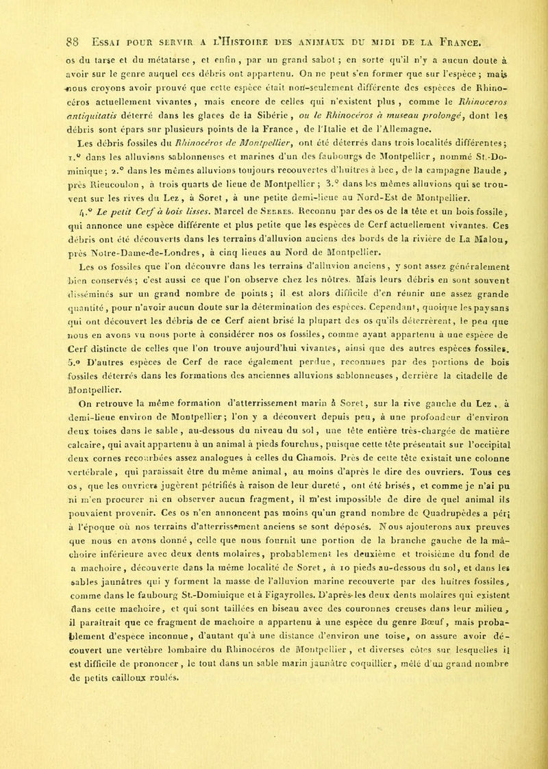 os du tarse et du métatarse , et enfin , par un grand sabot ; en sorte qu’il n’y a aucun doute à avoir sur le genre auquel ces débris ont appartenu. On ne peut s’en former que sur l’espèce ; mais -nous croyons avoir prouvé que cette espèce était nori-seulement différente des espèces de Rhino- céros actuellement vivantes, mais encore de celles qui n’existent plus, comme le Rhinocéros antiquitatis déterré dans les glaces de la Sibérie , ou le Rhinocéros a museau prolongé, dont les débris sont épars sur plusieurs points de la France , de l'Italie et de l’Allemagne. Les débris fossiles du Rhinocéros de Montpellier, ont été déterrés dans trois localités différentes; i.° dans les alluvions sablonneuses et marines d’un des faubourgs de Montpellier, nommé St.-Do- minique ; 2.0 dans les mêmes alluvions toujours recouvertes d’huîtres à bec , de la campagne Baude , près Rieucoulon , à trois quarts de lieue de Montpellier ; 3.° dans les mêmes alluvions qui se trou- vent sur les rives du Lez , à Soret , à une petite demi-îieue au Nord-Est de Montpellier. Le petit Cerf à bois lisses. Marcel de Serres. Reconnu par des os de la tête et un bois fossile, qui annonce une espèce différente et plus petite que les espèces de Cerf actuellement vivantes. Ces débris ont été découverts dans les terrains d’alluvion anciens des bords de la rivière de La Malou, près Notre-Dame-de-Londres, à cinq lieues au Nord de Montpellier. Les os fossiles que l’on découvre dans les terrains d’alluvion anciens, y sont assez généralement bien conservés ; c’est aussi ce que l’on observe chez les nôtres. Mais leurs débris en sont souvent disséminés sur un grand nombre de points ; il est alors difficile d’en réunir une assez grande quantité , pour n’avoir aucun doute sur la détermination des espèces. Cependant, quoique les paysans qui ont découvert les débris de ce Cerf aient brisé la plupart des os qu’ils déterrèrent, le peu que nous en avons vu nous porte à considérer nos os fossiles, comme ayant appartenu à une espèce de Cerf distincte de celles que l’on trouve aujourd’hui vivantes, ainsi que des autres espèces fossiles. 5.° D’autres espèces de Cerf de race également perdue, reconnues par des portions de bois fossiles déterrés dans les formations des anciennes alluvions sablonneuses, derrière la citadelle de Montpellier. On retrouve la même formation d’atterrissement marin à Soret, sur la rive gauche du Lez , à demi-lieue environ de Montpellier; l’on y a découvert depuis peu, à une profondeur d’environ deux toises dans le sable, au-dessous du niveau du sol, une tête entière très-chargée de matière calcaire, qui avait appartenu à un animal à pieds fourchus, puisque cette tête présentait sur l’occipital deux cornes recourbées assez analogues à celles du Chamois. Près de cette tète existait une colonne vertébrale, qui paraissait être du même animal, au moins d’après le dire des ouvriers. Tous ces os , que les ouvrier* jugèrent pétrifiés à raison de leur dureté , ont été brisés, et comme je n’ai pu ni m’en procurer ni en observer aucun fragment, il m’est impossible de dire de quel animal ils pouvaient provenir. Ces os n’en annoncent pas moins qu’un grand nombre de Quadrupèdes a pér; à l’époque où nos terrains d’atterrissement anciens se sont déposés. Nous ajouterons aux preuves que nous en avons donné , celle que nous fournit une portion de la branche gauche de la mâ- choire inférieure avec deux dents molaires, probablement les deuxième et troisième du fond de a mâchoire, découverte dans la même localité de Soret, à io pieds au-dessous du sol, et dans les sables jaunâtres qui y forment la masse de l’alluvion marine recouverte par des huîtres fossiles, comme dans le faubourg St.-Doiniuique et à Figayrolles. D’après-les deux dents molaires qui existent flans celte mâchoire, et qui sont taillées en biseau avec des couronnes creuses dans leur milieu, il paraîtrait que ce fragment de mâchoire a appartenu à une espèce du genre Bœuf, mais proba- blement d’espèce inconnue, d’autant qu’à une distance d’environ une toise, on assure avoir dé- couvert une vertèbre lombaire du Pvhinocéros de Montpellier , et diverses côtes sur lesquelles il est difficile de prononcer , le tout dans un sable marin jaunâtre coquillier, mêlé d’un grand nombre de petits cailloux roulés.
