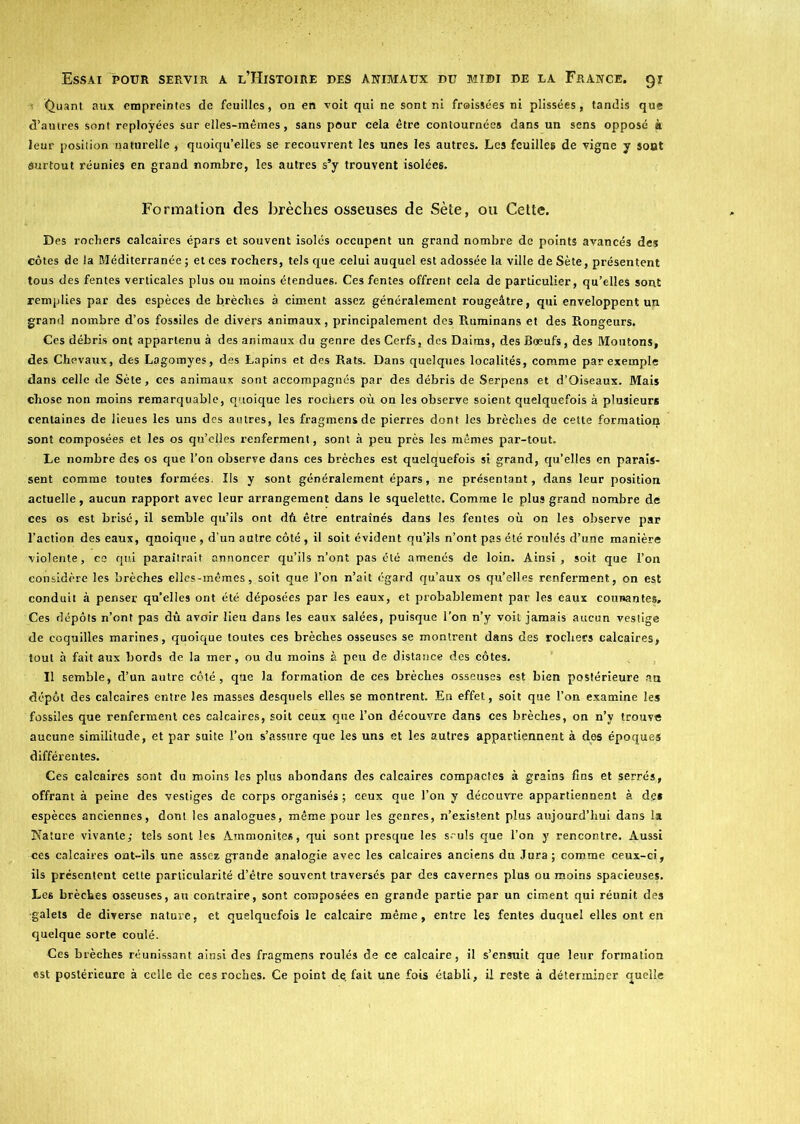 • Quant aux empreintes de feuilles, on en voit qui ne sont ni froissées ni plissées, tandis que d’autres sont reploÿées sur elles-mêmes, sans pour cela être contournées dans un sens opposé à leur position naturelle , quoiqu’elles se recouvrent les unes les autres. Les feuilles de vigne y sont surtout réunies en grand nombre, les autres s’y trouvent isolées. Formation des brèches osseuses de Sète, ou Cette. Des rochers calcaires épars et souvent isolés occupent un grand nombre de points avancés des côtes de la Méditerranée; et ces rochers, tels que celui auquel est adossée la ville de Sète, présentent tous des fentes verticales plus ou moins étendues. Ces fentes offrent cela de particulier, qu’elles sont remplies par des espèces de brèches à ciment assez généralement rougeâtre, qui enveloppent un grand nombre d’os fossiles de divers animaux, principalement des Ruminans et des Rongeurs. Ces débris ont appartenu à des animaux du genre des Cerfs, des Daims, des Bœufs, des Moutons, des Chevaux, des Lagomyes, des Lapins et des Rats. Dans quelques localités, comme par exemple dans celle de Sète, ces animaux sont accompagnés par des débris de Serpens et d’Oiseaux. Mais chose non moins remarquable, quoique les rochers où on les observe soient quelquefois à plusieurs centaines de lieues les uns des autres, les fragmensde pierres dont les brèches de cette formation sont composées et les os qu’elles renferment, sont à peu près les mêmes par-tout. Le nombre des os que l’on observe dans ces brèches est quelquefois si grand, qu’elles en parais- sent comme toutes formées. Ils y sont généralement épars, ne présentant, dans leur position actuelle, aucun rapport avec leur arrangement dans le squelette. Comme le plus grand nombre de ces os est brisé, il semble qu’ils ont dù être entraînés dans les fentes où on les observe par l’action des eaux, quoique , d’un autre côté, il soit évident qu’ils n’ont pas été roulés d’une manière violente, ce qui paraîtrait annoncer qu’ils n’ont pas été amenés de loin. Ainsi, soit que l’on considère les brèches elles-mêmes, soit que l’on n’ait égard qu’aux os qu’elles renferment, on est conduit à penser qu’elles ont été déposées par les eaux, et probablement par les eaux counantes. Ces dépôts n’ont pas dû avoir lieu dans les eaux salées, puisque l’on n’y voit jamais aucun vestige de coquilles marines, quoique toutes ces brèches osseuses se montrent dans des rochers calcaires, tout à fait aux bords de la mer, ou du moins à peu de distance des côtes. Il semble, d’un autre côté, que la formation de ces brèches osseuses est bien postérieure au dépôt des calcaires entre les masses desquels elles se montrent. En effet, soit que l’on examine les fossiles que renferment ces calcaires, soit ceux que l’on découvre dans ces brèches, on n’y trouve aucune similitude, et par suite l’on s’assure que les uns et les autres appartiennent à des époques différentes. Ces calcaires sont du moins les plus abondans des calcaires compactes à grains fins et serrés, offrant à peine des vestiges de corps organisés ; ceux que l’on y découvre appartiennent à de* espèces anciennes, dont les analogues, même pour les genres, n’existent plus aujourd’hui dans la Nature vivante,- tels sont les Ammonites, qui sont presque les seuls que l’on y rencontre. Aussi ces calcaires ont-ils une assez grande analogie avec les calcaires anciens du Jura ; comme ceux-ci, ils présentent cette particularité d’être souvent traversés par des cavernes plus ou moins spacieuses. Les brèches osseuses, au contraire, sont composées en grande partie par un ciment qui réunit des •galets de diverse nature, et quelquefois le calcaire même, entre les fentes duquel elles ont en quelque sorte coulé. Ces brèches réunissant ainsi des fragmens roulés de ce calcaire, il s’ensuit que leur formation est postérieure à celle de ces roches. Ce point défait une fois établi, il reste à déterminer quelle