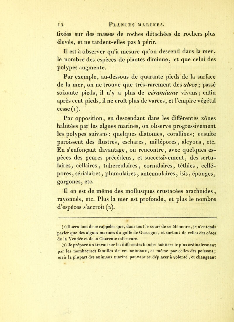 fixées sur des masses de roches détachées de rochers plus élevés, et ne tardent-elles pas à périr. Il est à observer qu’à mesure qu’on descend dans la mer, le nombre des espèces de plantes diminue, et que celui des polypes augmente. Par exemple, au-dessous de quarante pieds de la surface de la mer, on ne trouve que très-rarement des ulues ; passé soixante pieds, il n’y a plus de cèramiums vivans; enfin après cent pieds, il ne croît plus de varecs, et l’empire végétal cesse (i). Par opposition, en descendant dans les différentes zones habitées par les algues marines, on observe progressivement les polypes suivans: quelques diatomes, corallines; ensuite paroissent des flustres, eschares , millépores, alcyons , etc. En s’enfonçant davantage, on rencontre, avec quelques es- pèces des genres précédens, et successivement, des sertu- laires, cellaires, tuberculaires, cornulaires, téthies , cellé- pores, sérialaires, plumulaires, antennulaires, isis, éponges, gorgones, etc. Il en est de même des mollusques crustacées arachnides, rayonnés, etc. Plus la mer est profonde, et plus le nombre d’espèces s’accroît (2). (1 )Il sera bon de se rappeler que, dans tout le cours de ce Mémoire, je n’entends parler que des algues marines du golfe de Gascogne, et surtout de celles des côtes de la Vendée et de la Charente inférieure. (2) Je prépare un travail sur les différentes bandes habitées le plus ordinairement par les nombreuses familles de ces animaux, et même par celles des poissons ; mais la plupart des animaux marins pouvant se déplacera volonté , et changeant