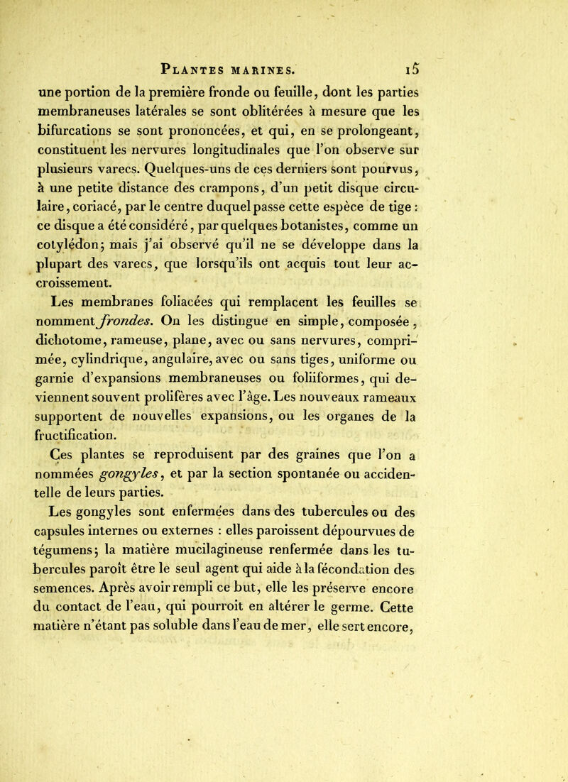 une portion de la première fronde ou feuille, dont les parties membraneuses latérales se sont oblitérées à mesure que les bifurcations se sont prononcées, et qui, en se prolongeant, constituent les nervures longitudinales que l’on observe sur plusieurs varecs. Quelques-uns de ces derniers sont pourvus, à une petite distance des crampons, d’un petit disque circu- laire, coriacé, par le centre duquel passe cette espèce de tige : ce disque a été considéré, par quelques botanistes, comme un cotylédon; mais j’ai observé qu’il ne se développe dans la plupart des varecs, que lorsqu’ils ont acquis tout leur ac- croissement. Les membranes foliacées qui remplacent les feuilles se nomment jrondes. On les distingue en simple, composée , dichotome, rameuse, plane, avec ou sans nervures, compri- mée, cylindrique, angulaire, avec ou sans tiges, uniforme ou garnie d’expansions membraneuses ou foliiformes, qui de- viennent souvent prolifères avec l’âge. Les nouveaux rameaux supportent de nouvelles expansions, ou les organes de la fructification. Ces plantes se reproduisent par des graines que l’on a nommées gongyles, et par la section spontanée ou accidem telle de leurs parties. Les gongyles sont enfermées dans des tubercules ou des capsules internes ou externes : elles paroissent dépourvues de tégumens; la matière mucilagineuse renfermée dans les tu- bercules paroît être le seul agent qui aide à la fécondation des semences. Après avoir rempli ce but, elle les préserve encore du contact de l’eau, qui pourroit en altérer le germe. Cette matière n’étant pas soluble dans l’eau de mer, elle sert encore,