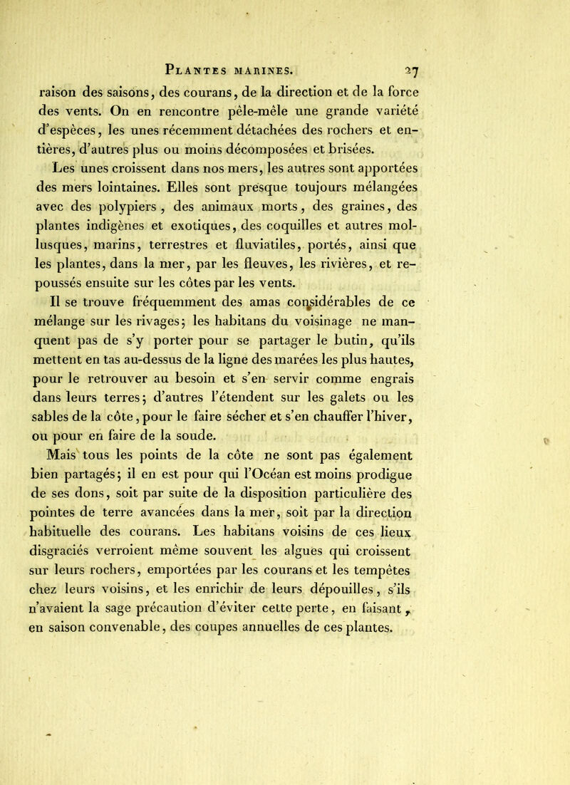 raison des saisons, des courans, de la direction et de la force des vents. On en rencontre pêle-mêle une grande variété d’espèces, les unes récemment détachées des rochers et en- tières, d’autres plus ou moins décomposées et brisées. Les unes croissent dans nos mers, les autres sont apportées des mers lointaines. Elles sont presque toujours mélangées avec des polypiers , des animaux morts, des graines, des plantes indigènes et exotiques, des coquilles et autres mol- lusques, marins, terrestres et fluviatiles, portés, ainsi que les plantes, dans la mer, par les fleuves, les rivières, et re- poussés ensuite sur les côtes par les vents. Il se trouve fréquemment des amas considérables de ce mélange sur les rivages ; les habitans du voisinage ne man- quent pas de s’y porter pour se partager le butin, qu’ils mettent en tas au-dessus de la ligne des marées les plus hautes, pour le retrouver au besoin et s’en servir comme engrais dans leurs terres; d’autres l’étendent sur les galets ou les sables de la côte, pour le faire sécher et s’en chauffer l’hiver, ou pour en faire de la soude. Mais tous les points de la côte ne sont pas également bien partagés; il en est pour qui l’Océan est moins prodigue de ses dons, soit par suite de la disposition particulière des pointes de terre avancées dans la mer, soit par la direction habituelle des courans. Les habitans voisins de ces lieux disgraciés verroient même souvent les algues qui croissent sur leurs rochers, emportées par les courans et les tempêtes chez leurs voisins, et les enrichir de leurs dépouilles, s’ils n’avaient la sage précaution d’éviter cette perte, en faisant T en saison convenable, des coupes annuelles de ces plantes.