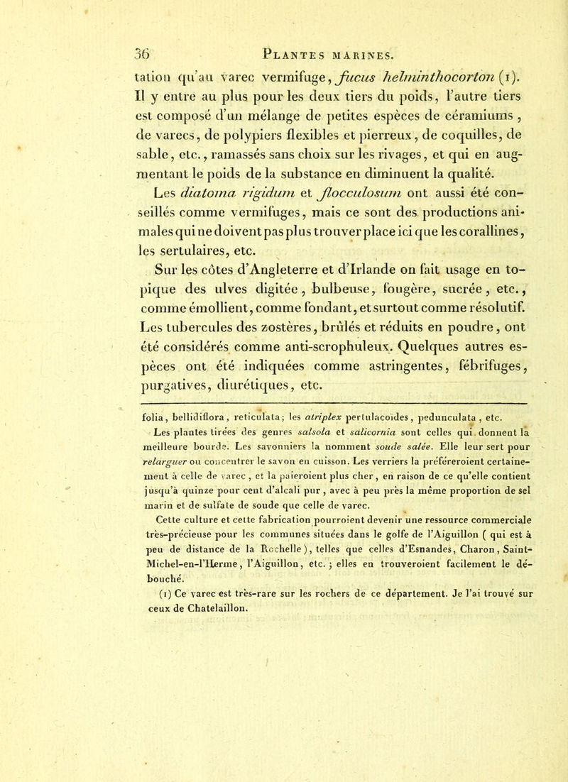 talion qu’au varec vermifuge, fucus helminthocorton (i). Il y entre au plus pour les deux tiers du poids, l’autre tiers est composé d’un mélange de petites espèces de céramiums , de varecs, de polypiers flexibles et pierreux, de coquilles, de sable, etc., ramassés sans choix sur les rivages, et qui en aug- mentant le poids de la substance en diminuent la qualité. Les diatoma rigidum et Jlocculosum ont aussi été con- seillés comme vermifuges, mais ce sont des. productions ani- males qui ne doivent pas plus trouver place ici que les corallines, les sertulaires, etc. Sur les côtes d’Angleterre et d’Irlande on fait usage en to- pique des ulves digitée , bulbeuse, fougère, sucrée, etc., comme émollient, comme fondant, et surtout comme résolutif. Les tubercules des zostères, brûlés et réduits en poudre, ont été considérés comme anti-scrophuleux. Quelques autres es- pèces ont été indiquées comme astringentes, fébrifuges, purgatives, diurétiques, etc. folia, bellidiflora, reticulata; les atriplex pertulacoïdes, pedunculata , etc. Les plantes tire’es des genres salsola et sâlicornia sont celles qui donnent la meilleure bourde. Les savonniers la nomment soude salée. Elle leur sert pour relarguer ou concentrer le savon en cuisson. Les verriers la préféreroient certaine- ment à celle de varec , et la paieroient plus cher, en raison de ce qu’elle contient jusqu’à quinze pour cent d’alcali pur , avec à peu près la même proportion de sel marin et de sulfate de soude que celle de varec. Cette culture et cette fabrication pourroient devenir une ressource commerciale très-précieuse pour les communes situées dans le golfe de l’Aiguillon ( qui est à peu de distance de la Rochelle ), telles que celles d’Esnandes, Charon, Saint- Micbel-en-l’Herme, l’Aiguillon, etc. j elles en trouveroient facilement le dé- bouché. (i) Ce varec est très-rare sur les rochers de ce département. Je l’ai trouvé sur ceux de Chatelaillon.