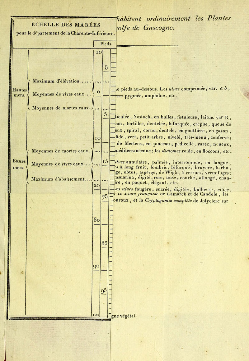 ÉCHELLE DES MARÉES pour le departement de la Charente-Inférieure. habitent ordinairement les Plantes olfe de Gascogne. | Pieds. IC ) 5 / Maximum d’élévation ' Hautes mers. / Moyennes de vives eaux. .. [ O — \ Moyennes de mortes eaux.y 5 IO ( Moyennes de mortes eaux.^i Basses mers. < Moyennes de vives eaux... ) ) i i5 ~ 1 f Maximum d’abaissement./ 20 7ï: 8o — - 85- 90 - • l ' / 95 : 100 : \o pieds au-dessous. Les ulves comprimée, var. a b , tecs pygmée, amphibie , etc. _ticulée , Nostoch, en bulles , fistuleuse, laitue, yar B , ->an , tortillée^ dentelée, bifurquée, crépue, queue de eux , spiral, cornu, dentelé, en gouttière , en gazon , -jfide , vert, petit arbre, nivelé, très-menu , conferve ; ~%lves annulaire, palmée, interrompue, en langue, es à long fruit, lombric, bifurqué , bruyère, barbu , 9ge, obtus, asperge, de Wigh, à verrues, vermifuges; pasuarina, digité,rose, bisse, courbé, allongé, chan- Jire , en paquet, élégant, etc. -Les ulves fougère, sucrée, digitée, bulbeuse, ciliée. f j- cure jraiiçcuse de JLamarck et de Candole , les -louroux , et la Cryptogamie complète de Joly clerc sur gne végétal.