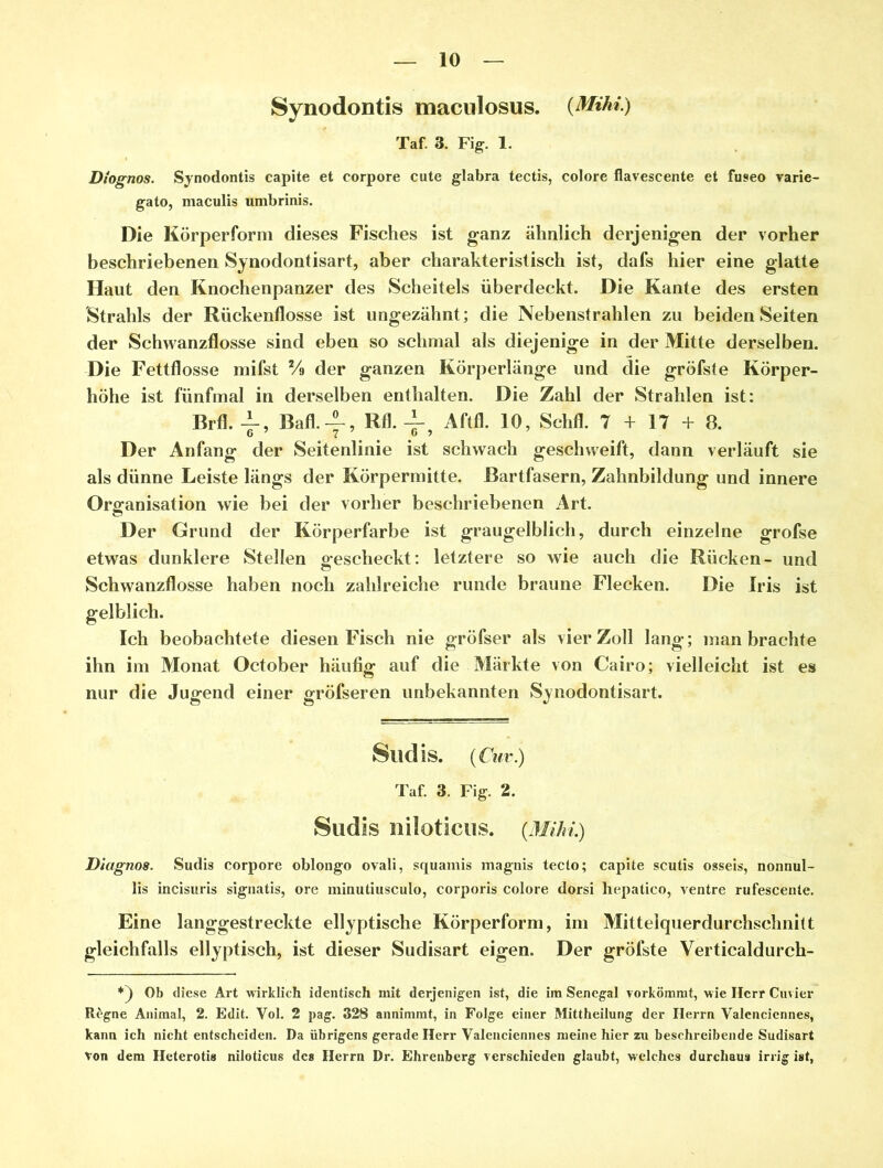 Synodontis maculosus. {Mihi.) Taf. 3. Fig. 1. Diognos. Synodontis capite et corpore cute glabra tectis, colore flavescente et fuseo varie- gato, maculis umbrinis. Die Körperform dieses Fisches ist ganz ähnlich derjenigen der vorher beschriebenen Synodontisart, aber charakteristisch ist, dafs hier eine glatte Haut den Knochenpanzer des Scheitels überdeckt. Die Kante des ersten Strahls der Rückenflosse ist ungezähnt; die Nebenstrahlen zu beiden Seiten der Schwanzflosse sind eben so schmal als diejenige in der Mitte derselben. Die Fettflosse mifst 2A der ganzen Körperlänge und die gröfste Körper- höhe ist fünfmal in derselben enthalten. Die Zahl der Strahlen ist: Brfl.-i-, Bafl. —, Rfl. -j-, Aftfl. 10, Schfl. 7 + 17 + 8. Der Anfang der Seitenlinie ist schwach geschweift, dann verläuft sie als dünne Leiste längs der Körpermitte. Bartfasern, Zahnbildung und innere Organisation wie bei der vorher beschriebenen Art. Der Grund der Körperfarbe ist graugelblich, durch einzelne grofse etwas dunklere Stellen gescheckt: letztere so wie auch die Rücken- und Schwanzflosse haben noch zahlreiche runde braune Flecken. Die Iris ist gelblich. Ich beobachtete diesen Fisch nie gröfser als vier Zoll lang; man brachte ihn im Monat October häufig auf die Märkte von Cairo; vielleicht ist es nur die Jugend einer gröfseren unbekannten Synodontisart. SlldlS. {Cur.) Taf. 3. Fig. 2. Sudis niloticus. (Mihi.) Dicignos. Sudis corpore oblongo ovali, squamis magnis tecto; capite scutis osseis, nonnul- lis incisuris signatis, ore minutiusculo, corporis colore dorsi hepatico, ventre rufescente. Eine langgestreckte ellyptische Körperform, im Mitteiquerdurchschnitt gleichfalls ellyptisch, ist dieser Sudisart eigen. Der gröfste Verticaldurch- Ob diese Art wirklich identisch mit derjenigen ist, die im Senegal vorkömmt, wie Herr Cuvier Rögne Animal, 2. Edit. Yol. 2 pag. 328 annimmt, in Folge einer Mittheilung der Herrn Valenciennes, kann ich nicht entscheiden. Da übrigens gerade Herr Valenciennes meine hier zu beschreibende Sudisart von dem Heterotis niloticus des Herrn Dr. Ehrenberg verschieden glaubt, welches durchaus irrig ist,