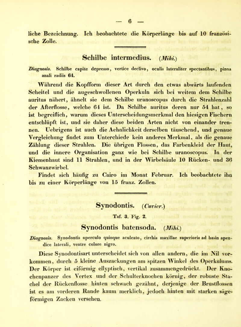 liehe Bezeichnung. Ich beobachtete die Körperlänge bis auf 10 französi- sche Zolle. Schilbe intermedius. {Mihi.) Diagnosis. Schilbe capite depresso, vertice declivo, oculis lateraliter spectantibns, pinna anali radiis 64. Während die Kopfform dieser Art durch den etwas abwärts laufenden Scheitel und die augeschwollenen Operkuln sich bei weitem dem Schilbe auritus nähert, ähnelt sie dem Schilbe uranoscopus durch die Strahlenzahl der Afterflosse, welche 64 ist. Da Schilbe auritus deren nur 54 hat, so ist begreiflich, warum dieses Unterscheidungsmerkmal den hiesigen Fischern entschlüpft ist, und sie daher diese beiden Arten nicht von einander tren- nen. Uebrigens ist auch die Aehnlichkeit derselben täuschend, und genaue Vergleichung findet zum Unterchiede kein anderes Merkmal, als die genaue Zählung dieser Strahlen. Die übrigen Flossen, das Farbenkleid der Haut, und die innere Organisation ganz wie bei Schilbe uranoscopus. In der Kiemenhaut sind 11 Strahlen, und in der Wirbelsäule 10 Rücken- und 36 Schwanzwirbel. Findet sich häufig zu Cairo im Monat Februar. Ich beobachtete ihn bis zu einer Körperlänge von 15 franz. Zollen. Synodontis. (Cuvier.) Taf. 3. Fig. 2. Synodontis batensoda. {Mihi.) Diagnosis. Synodontis operculo quinque aculeato, cirrhis maxillae superioris ad basin apen- dice laterali, ventre colore nigro. Diese Synodontisart unterscheidet sich von allen andern, die im Nil Vor- kommen, durch 5 kleine Auszackungen am spitzen Winkel des Operkulums. Der Körper ist eiförmig ellyptisch, vertikal zusammengedrückt. Der Kno- chenpanzer des Vertex und der Schulterknochen körnig, der robuste Sta- chel der Rückenflosse hinten schwach gezähnt, derjenige der Brustflossen ist es am vorderen Rande kaum merklich, jedoch hinten mit starken säge- förmigen Zacken versehen,