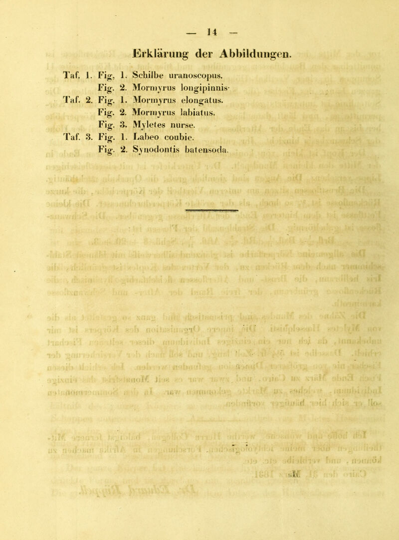 Erklärung der Abbildungen. Taf. 1. Fig, 1. Schilbe uranoscopus. Fig. 2. Mormyrus longipinnis- Taf. 2. Fig. 1. Mormyrus elongatus. Fig. 2. Mormyrus labiatus. Fig. 3. Myletes nurse. Taf. 3. Fig. 1. Labeo coubie. Fig. 2. Syuodontis batensoda. <yv