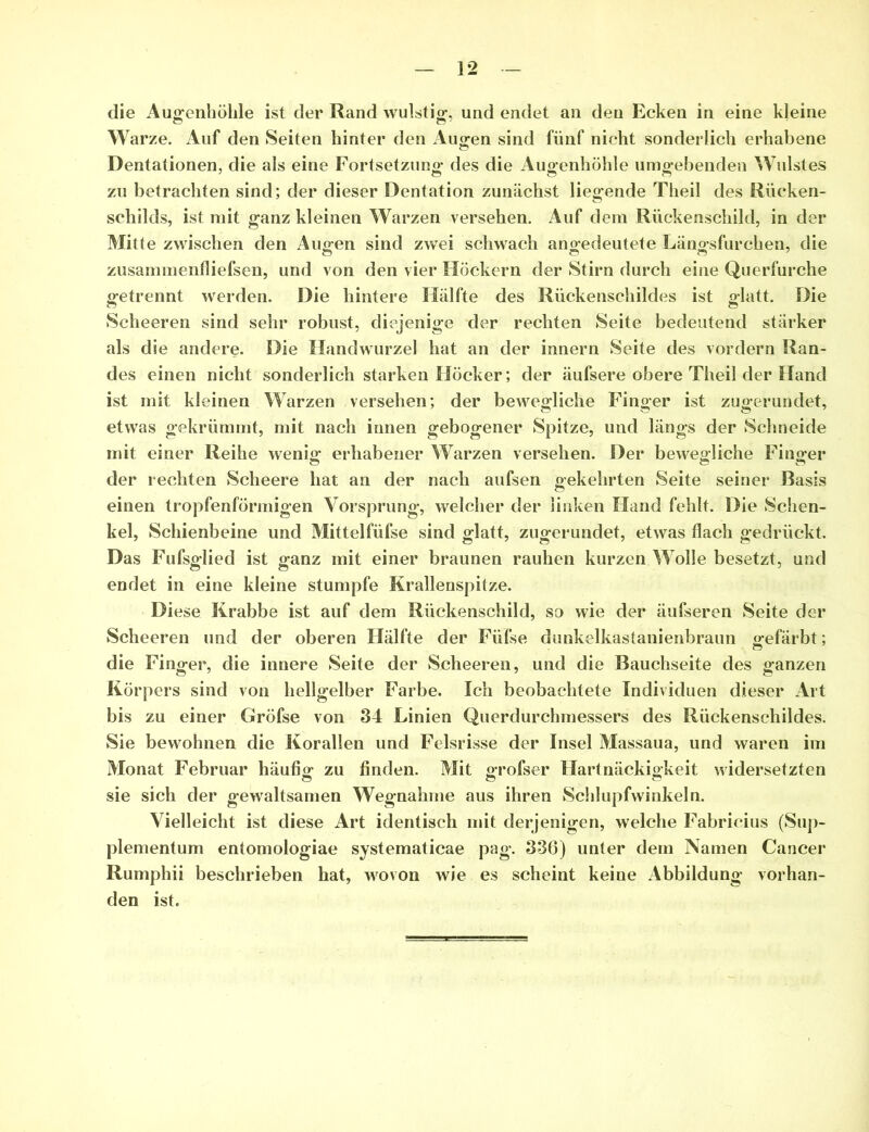 die Augenhöhle ist der Rand wulstig, und endet an den Ecken in eine kleine W arze. Auf den Seiten hinter den Augen sind fünf nicht sonderlich erhabene Dentationen, die als eine Fortsetzung- des die Augenhöhle umgebenden Wulstes zu betrachten sind; der dieser Dentation zunächst liegende Theil des Rücken- schilds, ist mit ganz kleinen Warzen versehen. Auf dem Rückenschild, in der Mitte zwischen den Augen sind zwei schwach angedeutete Längsfurchen, die zusammenfliefsen, und von den vier Höckern der Stirn durch eine Querfurche getrennt werden. Die hintere Hälfte des Rückenschildes ist glatt. Die Scheeren sind sehr robust, diejenige der rechten Seite bedeutend stärker als die andere. Die Handwurzel hat an der innern Seite des vordem Ran- des einen nicht sonderlich starken Höcker; der äufsere obere Theil der Hand ist mit kleinen Warzen versehen; der bewegliche Finger ist zugerundet, etwas gekrümmt, mit nach innen gebogener Spitze, und längs der Schneide mit einer Reihe wenig erhabener Warzen versehen. Der bewegliche Finger der rechten Scheere hat an der nach aufsen gekehrten Seite seiner Basis einen tropfenförmigen Vorsprung, welcher der linken Hand fehlt. Die Schen- kel, Schienbeine und Mittelfüfse sind glatt, zugerundet, etwas flach gedrückt. Das Fufsglied ist ganz mit einer braunen rauhen kurzen Wolle besetzt, und endet in eine kleine stumpfe Krallenspitze. Diese Krabbe ist auf dem Rückenschild, so wie der äufseren Seite der Scheeren und der oberen Hälfte der Füfse dünkelkastanienbraun gefärbt; die Finger, die innere Seite der Scheeren, und die Bauchseite des ganzen Körpers sind von hellgelber Farbe. Ich beobachtete Individuen dieser Art bis zu einer Gröfse von 34 Linien Querdurchmessers des Rückenschildes. Sie bewohnen die Korallen und Felsrisse der Insel Massaua, und waren im Monat Februar häufig zu finden. Mit orofser Hartnäckigkeit widersetzten sie sich der gewaltsamen Wegnahme aus ihren Schlupfwinkeln. Vielleicht ist diese Art identisch mit derjenigen, welche Fabricius (Sup- plementum entomologiae systematicae pag. 336) unter dem Namen Cancer Rumphii beschrieben hat, wovon wie es scheint keine Abbildung vorhan- den ist.