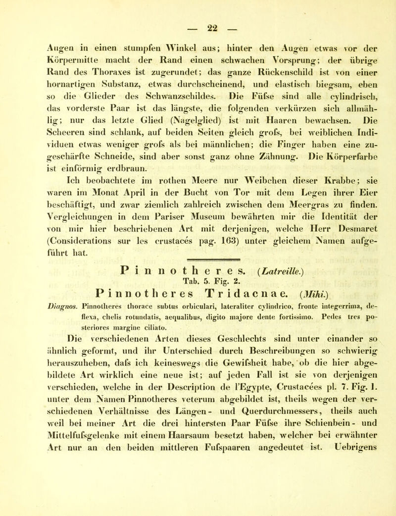 Augen in einen stumpfen Winkel aus; hinter den Augen etwas vor der Körpermitte macht der Rand einen schwachen Vorsprung; der übrige Rand des Thoraxes ist zugerundet; das ganze Rückenschild ist von einer hornartigen Substanz, etwas durchscheinend, und elastisch biegsam, eben so die Glieder des Schwanzschildes. Die Füfse sind alle cylindrisch, das vorderste Paar ist das längste, die folgenden verkürzen sich allmäh- lig; nur das letzte Glied (Nagelglied) ist mit Haaren bewachsen. Die Scheeren sind schlank, auf beiden Seiten gleich grofs, bei weiblichen Indi- viduen etwas weniger grofs als bei männlichen; die Finger haben eine zu- geschärfte Schneide, sind aber sonst ganz ohne Zähnung. Die Körperfarbe ist einförmig erdbraun. Ich beobachtete im rotlien Meere nur Weibchen dieser Krabbe; sie waren im Monat April in der Bucht von Tor mit dem Legen ihrer Eier beschäftigt, und zwar ziemlich zahlreich zwischen dem Meergras zu finden. Vergleichungen in dem Pariser Museum bewährten mir die Identität der von mir hier beschriebenen Art mit derjenigen, welche Herr Desmaret (Considerations sur les crustaces pag. 163) unter gleichem Namen aufge- führt hat. P i n n o t h e r e s. (Latreille.) Tab. 5. Fig. 2. Pinnot li eres Tridacnae. {Mihi.) Diagnos. Pinnotlieres thorace subtus orbiculari, lateraliter cylindrico, fronte integerrinia, de- flexa, chelis rotundatis, aequalibus, digito majore dente fortissiino. Pedes tres po- steriores margine ciliato. Die verschiedenen Arten dieses Geschlechts sind unter einander so ähnlich geformt, und ihr Unterschied durch Beschreibungen so schwierig herauszuheben, dafs ich keineswegs die Gewifsheit habe, ob die hier abge- bildete Art wirklich eine neue ist; auf jeden Fall ist sie von derjenigen verschieden, welche in der Description de l’Egypte, Crustacees pl. 7. Fig. 1. unter dem Namen Pinnotheres veterum abgebildet ist, theils wegen der ver- schiedenen Verhältnisse des Längen- und Querdurchmessers, theils auch weil bei meiner Art die drei hintersten Paar Füfse ihre Schienbein- und Mittelfufsgelenke mit einem Haarsaum besetzt haben, welcher bei erwähnter Art nur an den beiden mittleren Fufspaaren angedeutet ist. Uebrigens