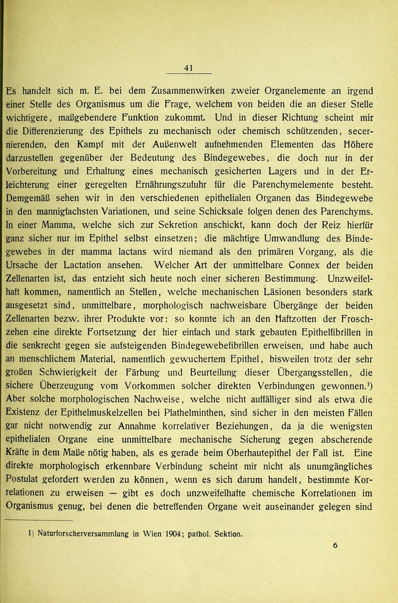 Es handelt sich m. E. bei dem Zusammenwirken zweier Organelemente an irgend einer Stelle des Organismus um die Frage, welchem von beiden die an dieser Stelle wichtigere, maßgebendere Funktion zukommt. Und in dieser Richtung scheint mir die Differenzierung des Epithels zu mechanisch oder chemisch schützenden, secer- nierenden, den Kampf mit der Außenwelt aufnehmenden Elementen das Höhere darzustellen gegenüber der Bedeutung des Bindegewebes, die doch nur in der Vorbereitung und Erhaltung eines mechanisch gesicherten Lagers und in der Er- leichterung einer geregelten Ernährungszufuhr für die Parenchymelemente besteht. Demgemäß sehen wir in den verschiedenen epithelialen Organen das Bindegewebe in den mannigfachsten Variationen, und seine Schicksale folgen denen des Parenchyms. In eiiler Mamma, welche sich zur Sekretion anschickt, kann doch der Reiz hierfür ganz sicher nur im Epithel selbst einsetzen; die mächtige Umwandlung des Binde- gewebes in der mamma lactans wird niemand als den primären Vorgang, als die Ursache der Lactation ansehen. Welcher Art der unmittelbare Connex der beiden Zellenarten ist, das entzieht sich heute noch einer sicheren Bestimmung. Unzweifel- haft kommen, namentlich an Stellen, welche mechanischen Läsionen besonders stark ausgesetzt sind, unmittelbare, morphologisch nachweisbare Übergänge der beiden Zellenarten bezw. ihrer Produkte vor: so konnte ich an den Haftzotten der Frosch- zehen eine direkte Fortsetzung der hier einfach und stark gebauten Epithelfibrillen in die senkrecht gegen sie aufsteigenden Bindegewebefibrillen erweisen, und habe auch an menschlichem Material, namentlich gewuchertem Epithel, bisweilen trotz der sehr großen Schwierigkeit der Färbung und Beurteilung dieser Übergangsstellen, die sichere Überzeugung vom Vorkommen solcher direkten Verbindungen gewonnen.^) Aber solche morphologischen Nachweise, welche nicht auffälliger sind als etwa die Existenz der Epithelmuskelzellen bei Plathelminthen, sind sicher in den meisten Fällen gar nicht notwendig zur Annahme korrelativer Beziehungen, da ja die wenigsten epithelialen Organe eine unmittelbare mechanische Sicherung gegen abscherende Kräfte in dem Maße nötig haben, als es gerade beim Oberhautepithel der Fall ist. Eine direkte morphologisch erkennbare Verbindung scheint mir nicht als unumgängliches Postulat gefordert werden zu können, wenn es sich darum handelt, bestimmte Kor- relationen zu erweisen — gibt es doch unzweifelhafte chemische Korrelationen im Organismus genug, bei denen die betreffenden Organe weit auseinander gelegen sind 1) Naturforscherversammlung in Wien 1904; pathol. Sektion. 6