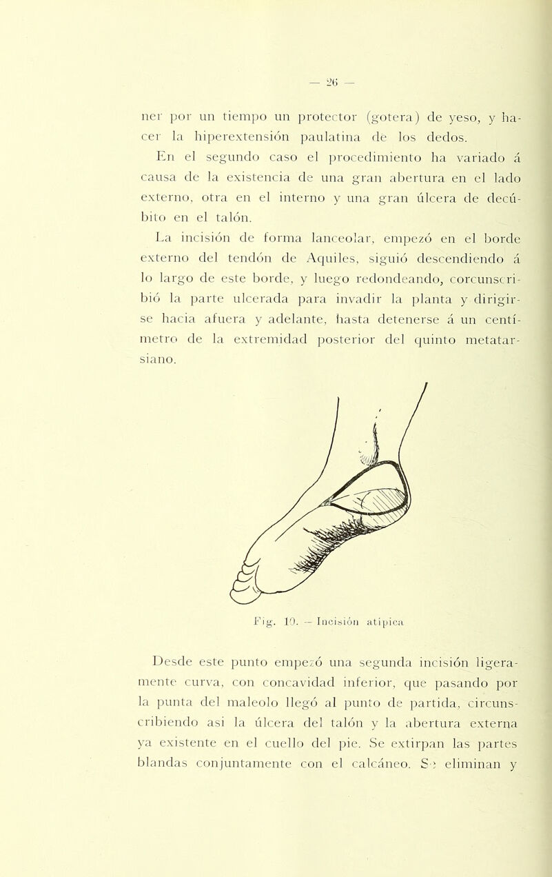 ner por un tiempo un ¡)rotector (gotera) de yeso, y ha- cer la hiperextensión j)aulatina ríe los dedos. Kn el segundo caso el procedimiento ha variado á causa de la existencia de una gran abertura en el lado externo, otra en el interno y una gran úlcera de decú- bito en el talón. La incisión de forma lanceolar, empezó en el borde externo del tendcin de Aquiles, siguió descendiendo á lo largo de este borde, y luego redondeando, corcunscri- bió la parte ulcerada para invadir la planta y dirigir- se hacia afuera y adelante, iiasta detenerse á un centí- metro de la extremidad posterior del cjuinto metatar- siano. Desde este punto empezó una segunda incisión ligera- mente curva, con concavidad inferior, cpie pasando por la punta del maléolo llegó al punto de partida, circuns- cribiendo asi la úlcera del talón y la abertura externa ya existente en el cuello del pie. Se extirpan las partes blandas conjuntamente con el calcáneo. Se eliminan y