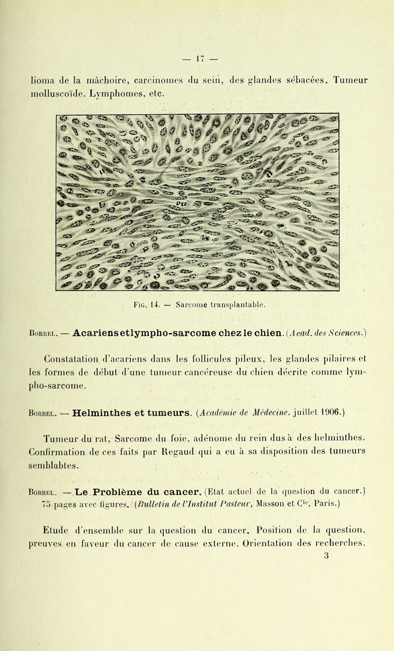 lioma de la mâchoire, carcinomes du sein, des glandes sébacées. Tumeur molluscoïde. Lymphomes, etc. 7 Æ **<*?(& y * ^ ' _ '^  * ^ «aT =55»-'Hs>v*’ ^ ^ b •35’. ^ <a> ^ ^ •© <&<?? «ïfc ^ 33 rV, O <& ® V ^ ^ %, ■** J 1^ =55» “ > © Fig. 14. — Sarcome transplantable. Borrel. — Acariensetlympho-sarcome chez le chien. (.4c«d. des Sciences.) Constatation d’acariens dans les follicules pileux, les glandes pilaires et les formes de début d’une tumeur cancéreuse du chien décrite comme lym- pho-sarcome. Borrel. — Helminthes et tumeurs. (Académie de Médecine, juillet 1906.) Tumeur du rat, Sarcome du foie, adénome du rein dus à des helminthes. Confirmation de ces faits par Regaud qui a eu à sa disposition des tumeurs semblabtes. Borrel. — Le Problème du cancer. (Etat actuel de la question du cancer.) 75 pages avec figures. (Bulletin de l’Institut Pasteur, Masson et Cle, Paris.) Etude d’ensemble sur la question du cancer. Position de la question, preuves en faveur du cancer de cause externe. Orientation des recherches. 3