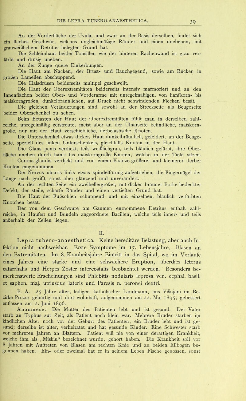 An der Vorderfläche der Uvula, und zwar an der Basis derselben, findet sich ein flaches Geschwür, welches ungleichmäßige Ränder und einen unebenen, mit grauweißlichem Detritus belegten Grund hat. Die Schleimhaut beider Tonsillen wie der hinteren Rachenwand ist grau ver- färbt und drüsig uneben. An der Zunge quere Einkerbungen. Die Haut am Nacken, der Brust- und Bauchgegend, sowie am Rücken in großen Lamellen abschuppend. Die Halsdrüsen beiderseits multipel geschwellt. Die Haut der Oberextremitäten beiderseits intensiv marmoriert und an den Innenflächen beider Ober- und Vorderarme mit unregelmäßigen, von hanfkorn- bis maiskorngroßen, dunkelbräunlichen, auf Druck nicht schwindenden Flecken besät. Die gleichen Veränderungen sind sowohl an der Streckseite als Beugeseite beider Oberschenkel zu sehen. Beim Betasten der Haut der Oberextremitäten fühlt man in derselben zahl- reiche, unregelmäßig zerstreute, meist aber an der Ulnarseite befindliche, maiskorn- große, nur mit der Haut verschiebliche, derbelastische Knoten. Die Unterschenkel etwas dicker. Haut dunkelbräunlich, gefeldert, an der Beuge- seite, speziell des linken Unterschenkels, gleichfalls Knoten in der Haut. Die Glans penis verdickt, teils weißlichgrau, teils bläulich gefärbt, ihre Ober- fläche uneben durch hanf- bis maiskorngroße Knoten, welche in der Tiefe sitzen. Corona glandis verdickt und von einem Kranze größerer und kleinerer derber Knoten eingenommen. Der Nervus ulnaris links etwas spindelförmig aufgetrieben, die Fingernägel der Länge nach gerifft, sonst aber glänzend und unverändert. An der rechten Seite ein zweihellergroßer, mit dicker brauner Borke bedeckter Defekt, der steile, scharfe Ränder und einen vertieften Grund hat. Die Haut der Fußsohlen schuppend und mit einzelnen, bläulich verfärbten Knötchen besät. Der von dem Geschwüre am Gaumen entnommene Detritus enthält zahl- reiche, in Haufen und Bündeln angeordnete Bacillen, welche teils inner- und teils anßerhalb der Zellen liegen. II. Lepra tubero-anaesthetica. Keine hereditäre Belastung, aber auch In- fektion nicht nachweisbar. Erste Symptome im 17. Lebensjahre. Blasen an den Extremitäten. Im 8. Kranheitsjahre Eintritt in das Spital, wo im Verlaufe eines Jahres eine starke und eine schwächere Eruption, überdies Icterus catarrhalis und Herpes Zoster intercostalis beobachtet werden. Besonders be- merkenswerte Erscheinungen sind Phlebitis nodularis leprosa ven. cephal. basil. et saphen. maj. utriusque lateris und Paresis n. peronei dextri, B. A. 25 Jahre alter, lediger, katholischer Landmann, aus Viänjani im Be- zirke Prozor gebürtig und dort wohnhaft, aufgenommen am 22. Mai 1895; gebessert entlassen am 2. Juni 1896. Anamnese: Die Mutter des Patienten lebt und ist gesund. Der Vater starb an Typhus zur Zeit, als Patient noch klein war. Mehrere Brüder starben im kindlichen Alter noch vor der Geburt des Patienten, ein Bruder lebt und ist ge- sund; derselbe ist älter, verheiratet und hat gesunde Kinder. Eine Schwester starb vor mehreren Jahren an Blattern. Patient will nie von einer derartigen Krankheit, welche ihm als „Miskin“ bezeichnet wurde, gehört haben. Die Krankheit soll vor 8 Jahren mit Auftreten von Blasen am rechten Knie und an beiden Ellbogen be- gonnen haben. Ein- oder zweimal hat er in seinem Leben Fische genossen, sonst