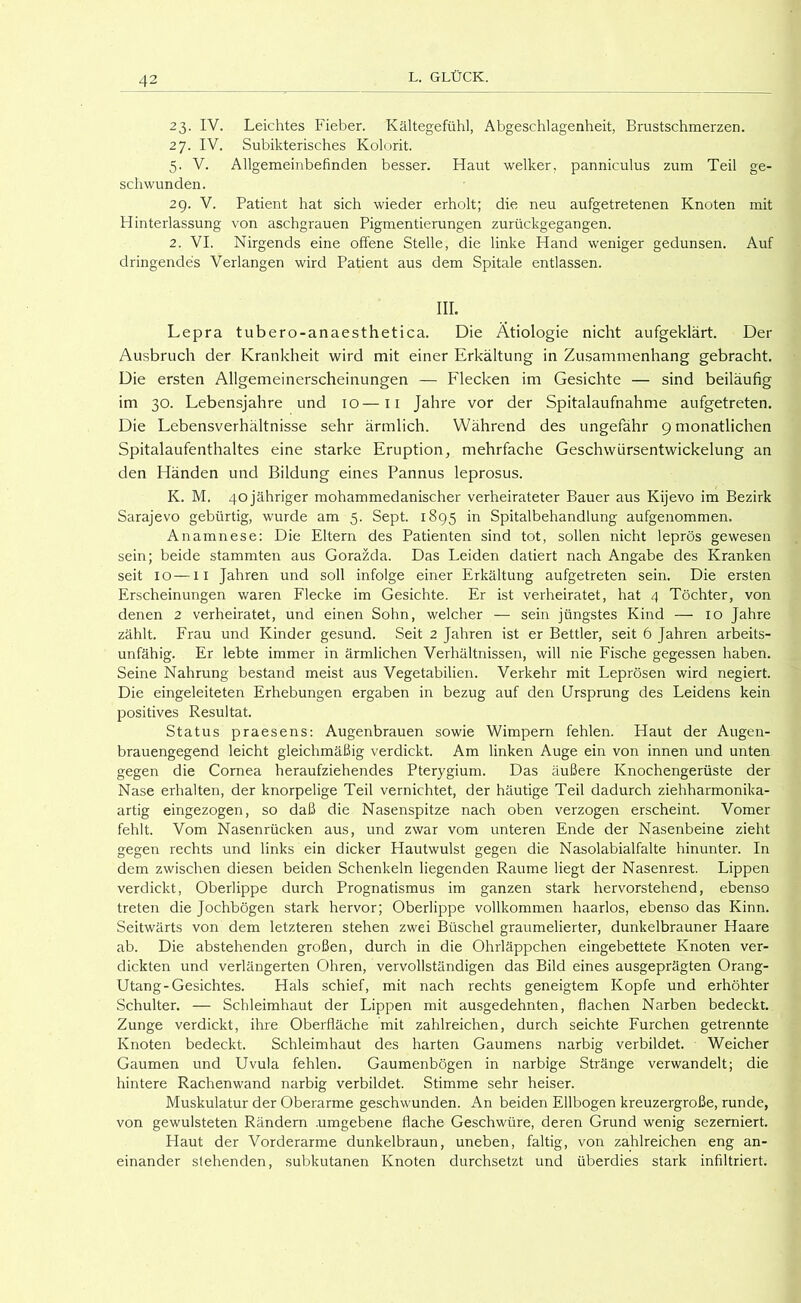 23. IV. Leichtes Fieber. Kältegefühl, Abgeschlagenheit, Brustschmerzen. 27. IV. Subikterisches Kolorit. 5. V. Allgemeinbefinden besser. Haut welker, panniculus zum Teil ge- schwunden. 2g. V. Patient hat sich wieder erholt; die neu aufgetretenen Knoten mit Hinterlassung von aschgrauen Pigmentierungen zurückgegangen. 2. VI. Nirgends eine offene Stelle, die linke Hand weniger gedunsen. Auf dringendes Verlangen wird Patient aus dem Spitale entlassen. III. Lepra tubero-anaesthetica. Die Ätiologie nicht aufgeklärt. Der Ausbruch der Krankheit wird mit einer Erkältung in Zusammenhang gebracht. Die ersten Allgemeinerscheinungen — Flecken im Gesichte — sind beiläufig im 30. Lebensjahre und 10—ii Jahre vor der Spitalaufnahme aufgetreten. Die Lebensverhältnisse sehr ärmlich. Während des ungefähr g monatlichen Spitalaufenthaltes eine starke Eruption, mehrfache Geschwürsentwickelung an den Händen und Bildung eines Pannus leprosus. K. M. 40jähriger mohammedanischer verheirateter Bauer aus Kijevo im Bezirk Sarajevo gebürtig, wurde am 5. Sept. 1895 in Spitalbehandlung aufgenommen. Anamnese: Die Eltern des Patienten sind tot, sollen nicht leprös gewesen sein; beide stammten aus Gorazda. Das Leiden datiert nach Angabe des Kranken seit IO—II Jahren und soll infolge einer Erkältung aufgetreten sein. Die ersten Erscheinungen v/aren Flecke im Gesichte. Er ist verheiratet, hat 4 Töchter, von denen 2 verheiratet, und einen Sohn, welcher — sein jüngstes Kind — 10 Jahre zählt. Frau und Kinder gesund. Seit 2 Jahren ist er Bettler, seit 6 Jahren arbeits- unfähig. Er lebte immer in ärmlichen Verhältnissen, will nie Fische gegessen haben. Seine Nahrung bestand meist aus Vegetabilien. Verkehr mit Leprösen wird negiert. Die eingeleiteten Erhebungen ergaben in bezug auf den Ursprung des Leidens kein positives Resultat. Status praesens; Augenbrauen sowie Wimpern fehlen. Haut der Augen- brauengegend leicht gleichmäßig verdickt. Am linken Auge ein von innen und unten gegen die Cornea heraufziehendes Pterygium. Das äußere Knochengerüste der Nase erhalten, der knorpelige Teil vernichtet, der häutige Teil dadurch ziehharmonika- artig eingezogen, so daß die Nasenspitze nach oben verzogen erscheint. Vomer fehlt. Vom Nasenrücken aus, und zwar vom unteren Ende der Nasenbeine zieht gegen rechts und links ein dicker Hautwulst gegen die Nasolabialfalte hinunter. In dem zwischen diesen beiden Schenkeln liegenden Raume liegt der Nasenrest. Lippen verdickt, Oberlippe durch Prognatismus im ganzen stark hervorstehend, ebenso treten die Jochbögen stark hervor; Oberlippe vollkommen haarlos, ebenso das Kinn. Seitwärts von dem letzteren stehen zwei Büschel graumelierter, dunkelbrauner Haare ab. Die abstehenden großen, durch in die Ohrläppchen eingebettete Knoten ver- dickten und verlängerten Ohren, vervollständigen das Bild eines ausgeprägten Orang- Utang-Gesichtes. Hals schief, mit nach rechts geneigtem Kopfe und erhöhter Schulter. — Schleimhaut der Lippen mit ausgedehnten, flachen Narben bedeckt. Zunge verdickt, ihre Oberfläche mit zahlreichen, durch seichte Furchen getrennte Knoten bedeckt. Schleimhaut des harten Gaumens narbig verbildet. Weicher Gaumen und Uvula fehlen. Gaumenbögen in narbige Stränge verwandelt; die hintere Rachenwand narbig verbildet. Stimme sehr heiser. Muskulatur der Oberarme geschwunden. An beiden Ellbogen kreuzergroße, runde, von gewulsteten Rändern .umgebene flache Geschwüre, deren Grund wenig sezerniert. Haut der Vorderarme dunkelbraun, uneben, faltig, von zahlreichen eng an- einander stehenden, subkutanen Knoten durchsetzt und überdies stark infiltriert.