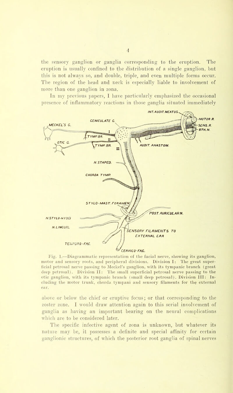 the fensory ganglion or ganglia corresponding to the eruption. The eruption is usually confined to the distribution of a single ganglion, hut this is not ahvays so, and double, triple, and even multiple forms occur. The region of the head and neck is especially liable to involvement of more than one ganglion in zona. In my previous papers, I have particularly emphasized the occasional presence of inflammatory I'eactions in those ganglia situated immediately l''ig. 1.—Diagraniiiiiitic i'C[)reseiitalioii of tlie facial nerve, sliowing its ganglion, motor and sensory roots, and peripheral divisions. Division I: The great super- ficial petrosal nerve passing to iMeckel’s ganglion, with its tympanic hranch (great deep petrosal). Division II: The small su[)erficial petrosal nerve passing to the otic ganglion, with its tympanic hranch (small deep petrosal). Division III: In- cluding the motor trunk, chorda tympani and sensory filaments for the external ear. above or below the chief or eruptive focus; or that corresponding to the zoster zone. I would draw attention again to this serial involvement of ganglia as having an important bearing on the neural complications which are to be considered later. The specific infective agent of zona is unknown, but whatever its natuie may be, it possesses a definite and special affinity for certain ganglionic structures, of which the posterior root ganglia of spinal nerves