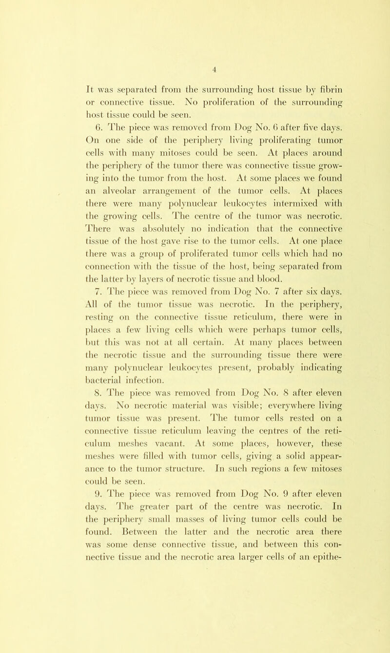 It was separated from the surrounding liost tissue by fibrin or eouuective tissue. No proliferation of the surrounding host tissue could be seen. 0. The piece was removed from Dog No. (i after five days. On one side of the periphery living proliferating tumor cells with many mitoses could be seen. At places around the periphery of the tumor there was connective ti.ssue grow- ing into (he (nmor from the host. At some places we found an alveolar arrangement of the tumor cells. At places there were many polynuclear leukocytes Intermixed with the g'rowiufj cells. 'I'he centre of the (nmor was necrotic, ddiere was absolutely no indication that the connective tissue of the host gav’c rise to the tumor cells. At one place there was a group of proliferated tumor cells which had no connection with the tissue of (he host, being separated from the latter by layers of necrotic tissue and blood. 7. d'he piece was re'.novcd from Dog No. 7 after six days. All of the tumor ti.ssue was necrotic. In the periphery, resting on the connective tissue reticulum, there were in j)laces a few living cells which were ])crhaps tumor cells, but this was not at all certain. At many places between the necrotic tissue and the surrounding tissue there were many polynuclear leukocytes pre.sent, probably indicating bacterial infection. S. The piece was removed from Dog No. S after eleven days. No necrotic material was visible; everywhere living tumor tissue was j)re.sent. 'I'lie tumor cells rested on a connective tissue reticulum leaving the cejitres of the reti- culum meshes vacant. At some places, however, these meshes were filled with tumor cells, giving a solid appear- ance to the tumor structure. In siicli regions a few mito.ses could be seen. 9. The piece was removed from Dog No. 9 after eleven days. The greater part of the centre was necrotic. In the periphery small masses of living tumor cells could be found. Between the latter and the necrotic area there was some dense connective tissue, and between this con- nective tissue and the necrotic area larger cells of an epithe-