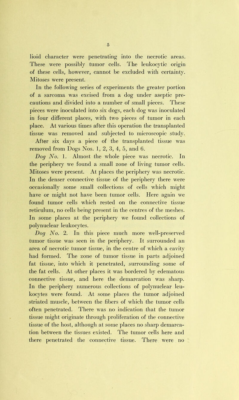 lioid character were penetrating into the necrotic areas. These were possibly tumor cells. The leukocytic origin of these cells, however, cannot be excluded with certainty. Mitoses were present. In the following series of experiments the greater portion of a sarcoma was excised from a dog under aseptic pre- cautions and divided into a number of small pieces. These pieces were inoculated into six dogs, each dog was inoculated in four different places, with two pieces of tumor in each place. At various times after this operation the transplanted tissue was removed and subjected to microscopic study. After six days a piece of the transplanted tissue was removed from Dogs Nos. 1, 2, 3, 4, 5, and 6. Dog No. 1. Almost the whole piece was necrotic. In the periphery we found a small zone of living tumor cells. Mitoses were present. At places the periphery was necrotic. In the denser connective tissue of the periphery there were occasionally some small collections of cells which might have or might not have been tumor cells. Here again we found tumor cells which rested on the connective tissue reticulum, no cells being present in the centres of the meshes. In some places at the periphery we found collections of polynuclear leukocytes. Dog No. 2. In this piece much more well-preserved tumor tissue was seen in the periphery. It surrounded an area of necrotic tumor tissue, in the centre of which a cavity had formed. The zone of tumor tissue in parts adjoined fat tissue, into which it penetrated, surrounding some of the fat cells. At other places it was bordered by edematous connective tissue, and here the demarcation was sharp. In the periphery numerous collections of polynuclear leu- kocytes were found. At some places the tumor adjoined striated muscle, between the fibers of which the tumor cells often penetrated. There was no indication that the tumor tissue might originate through proliferation of the connective tissue of the host, although at some places no sharp demarca- tion between the tissues existed. The tumor cells here and there penetrated the connective tissue. There were no